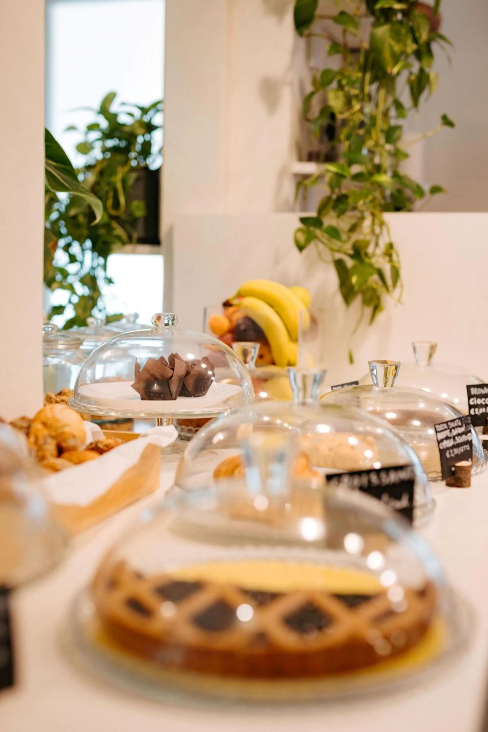 Food and drinks in Tomato Urban Retreat