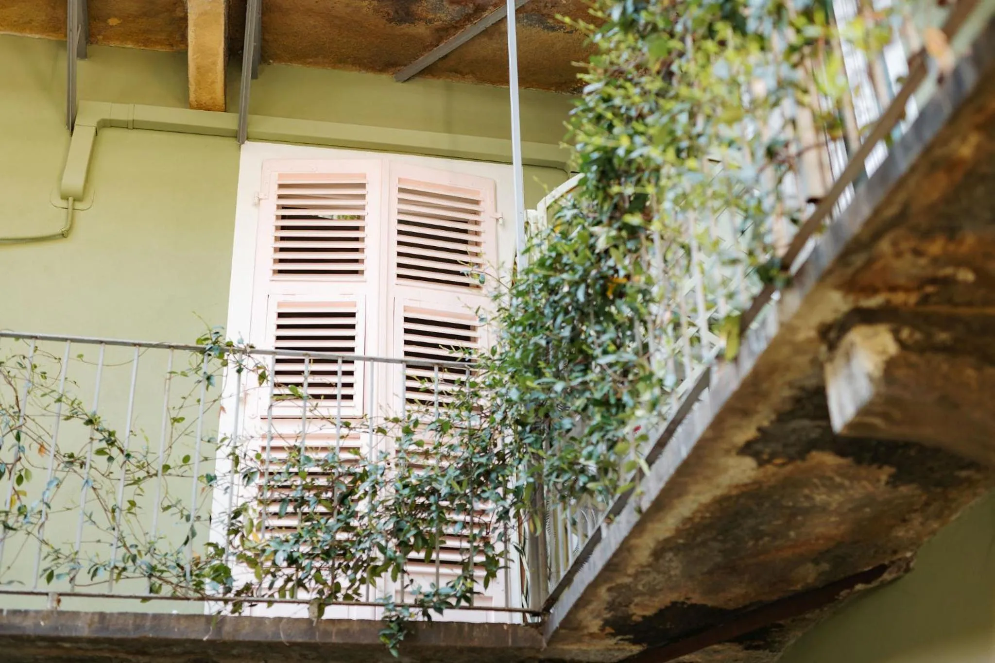 Balcony/Terrace in Tomato Urban Retreat