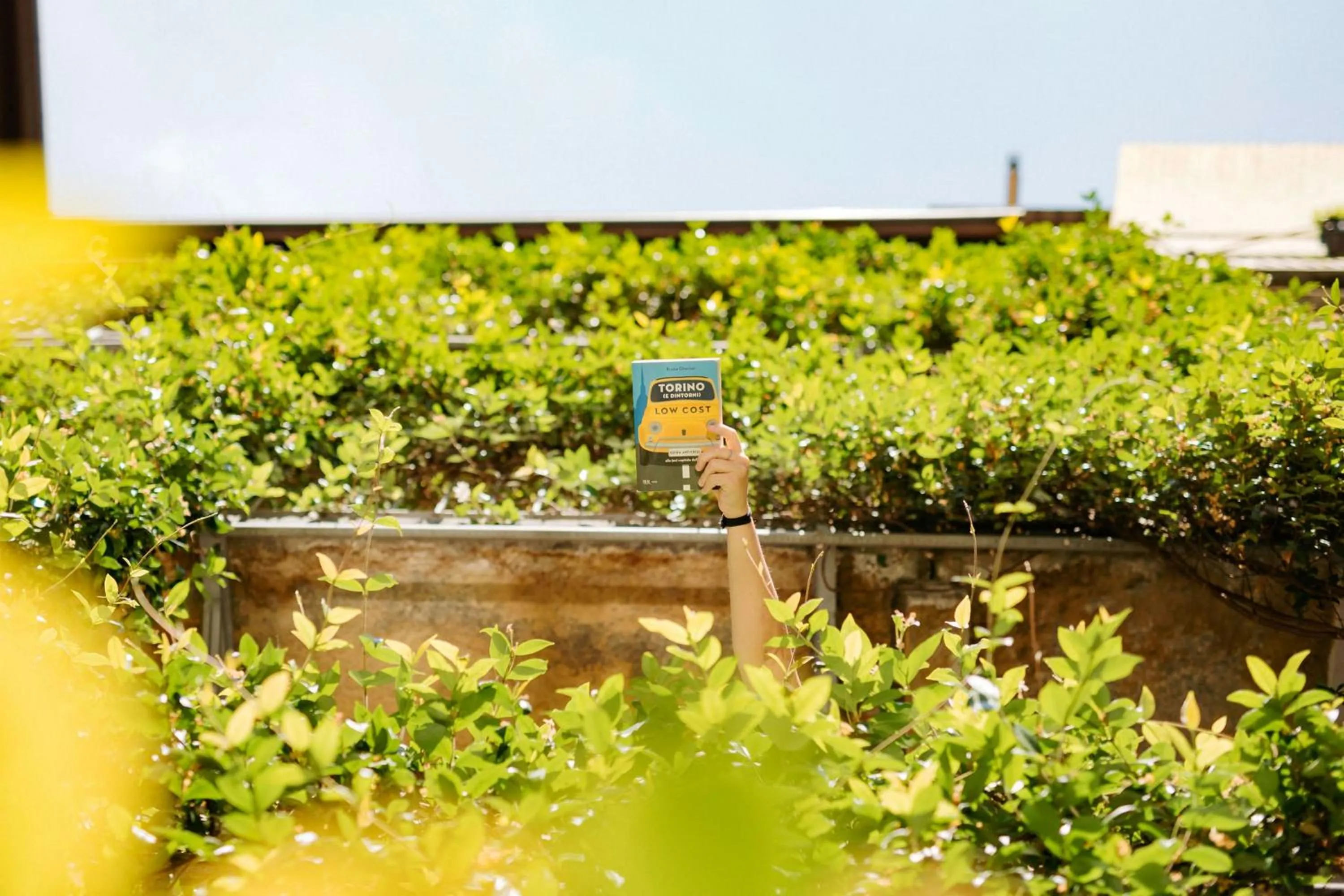 Garden view in Tomato Urban Retreat