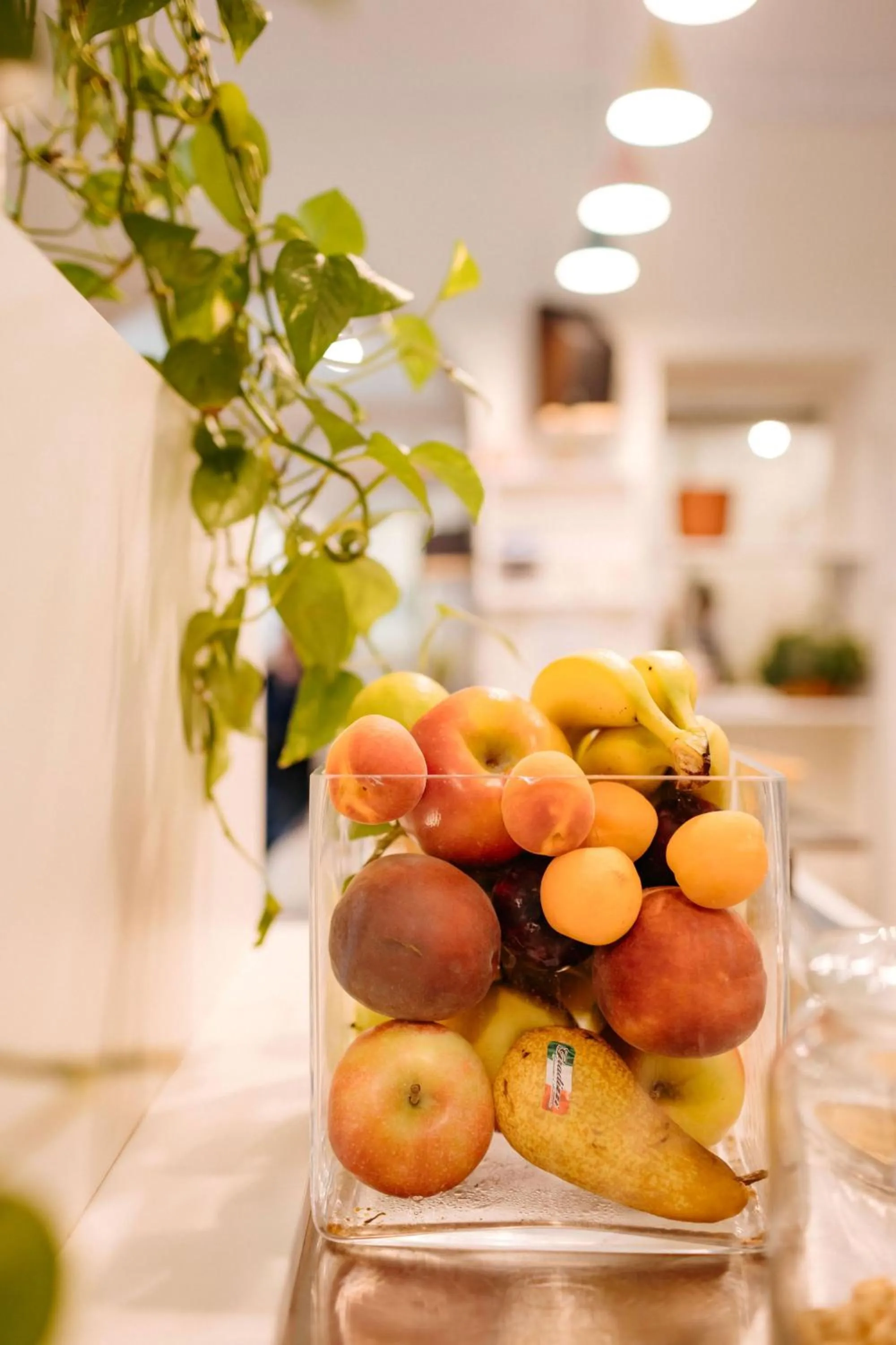 Food and drinks in Tomato Urban Retreat