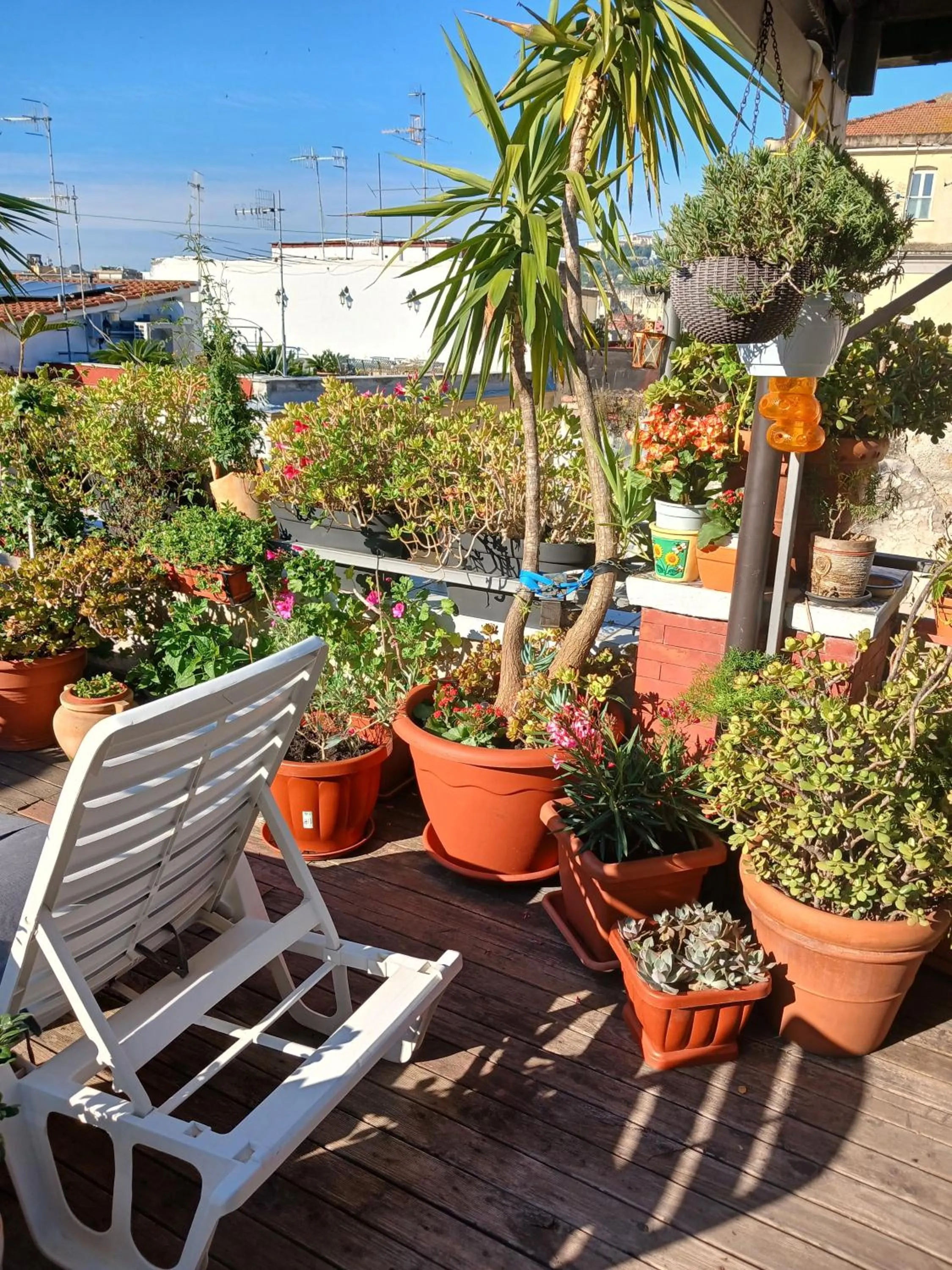 Balcony/Terrace in La Terrazza ai Miracoli