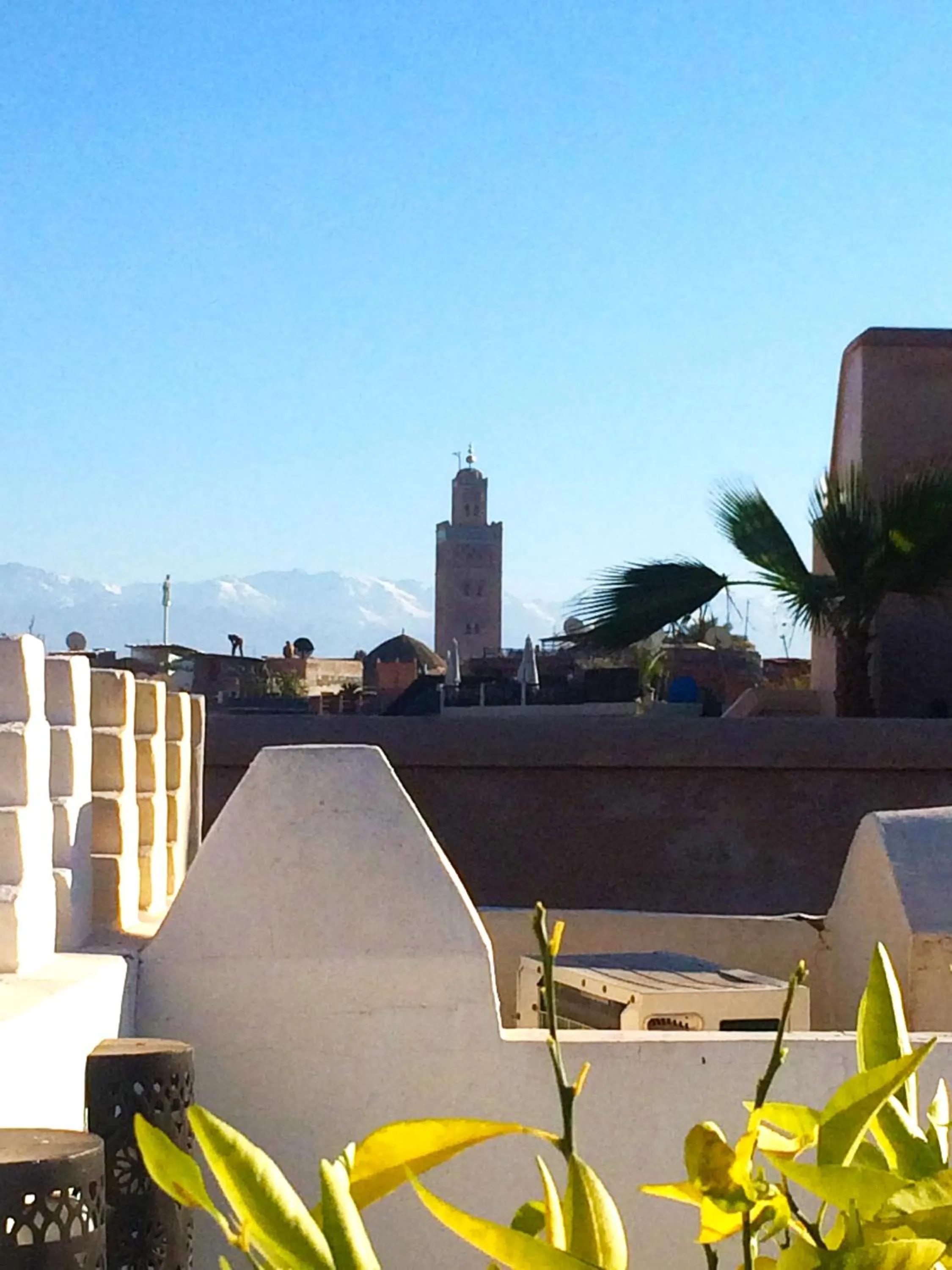 Property building in Riad Fatinat Marrakech