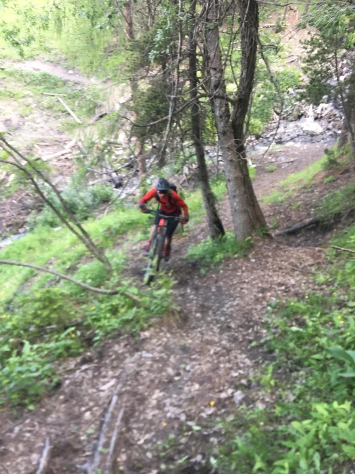 People in Hôtel l'Équipe