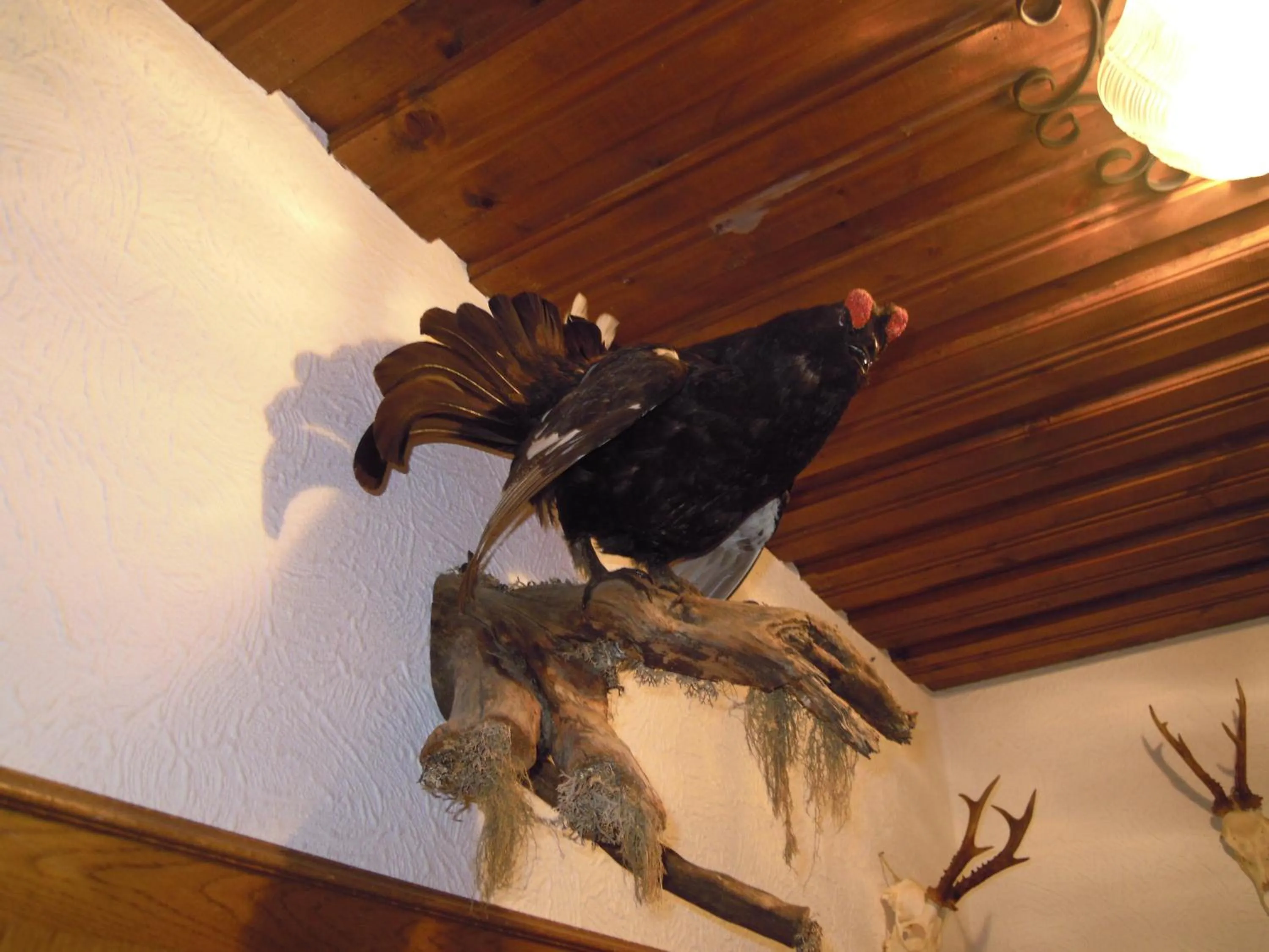 Decorative detail in Pension Herzoggut