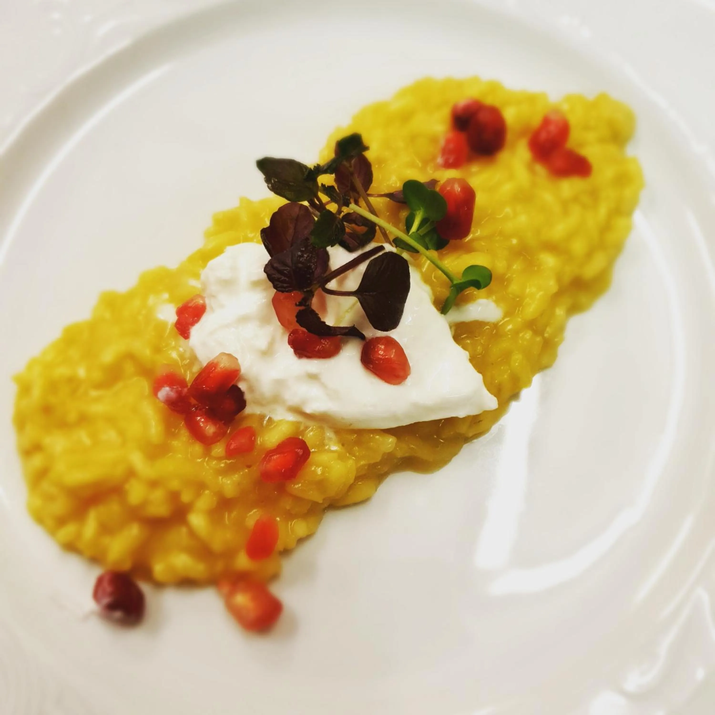 Restaurant/places to eat in Hotel Rose