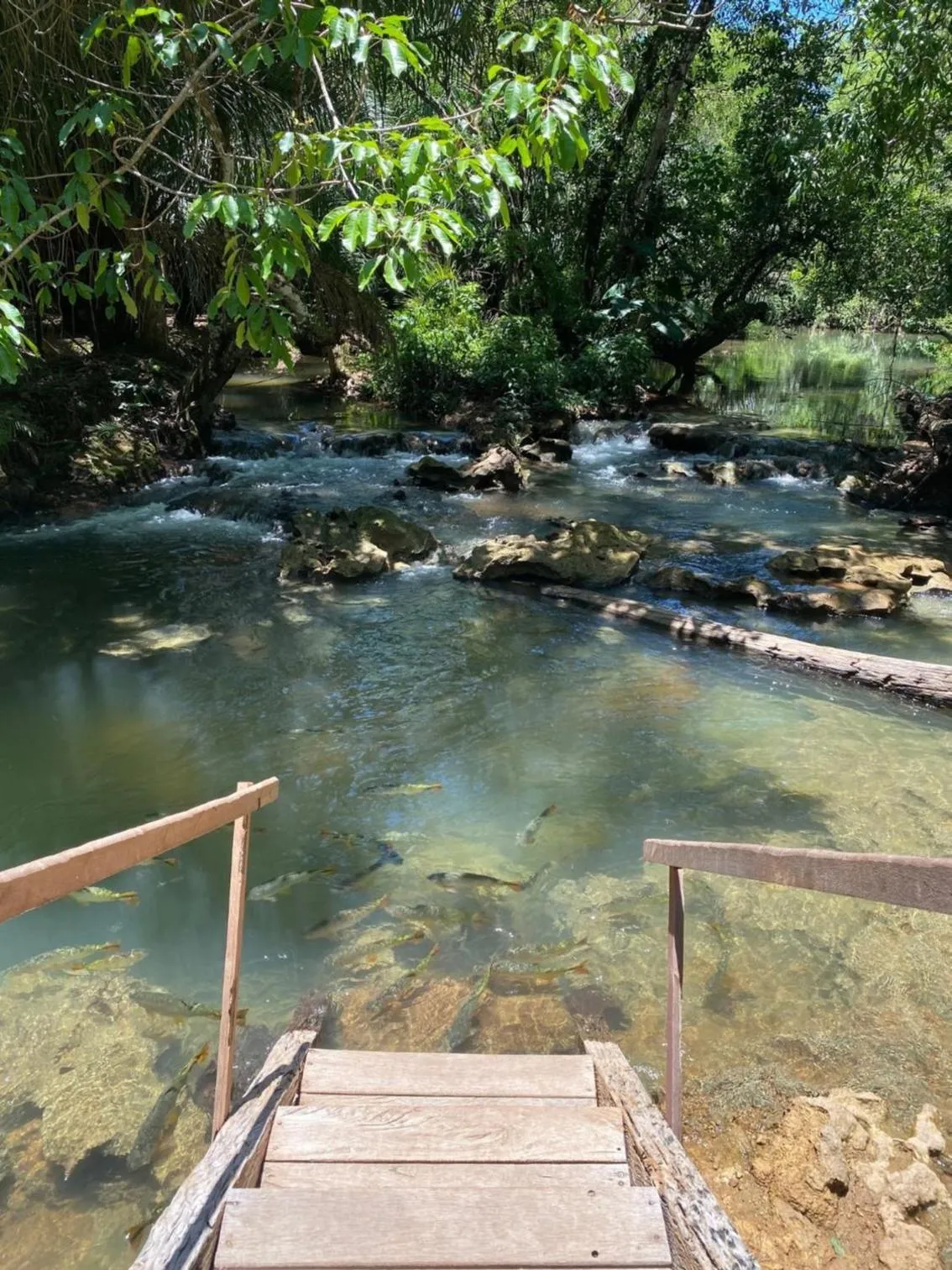 River view in Hotel Santa Esmeralda