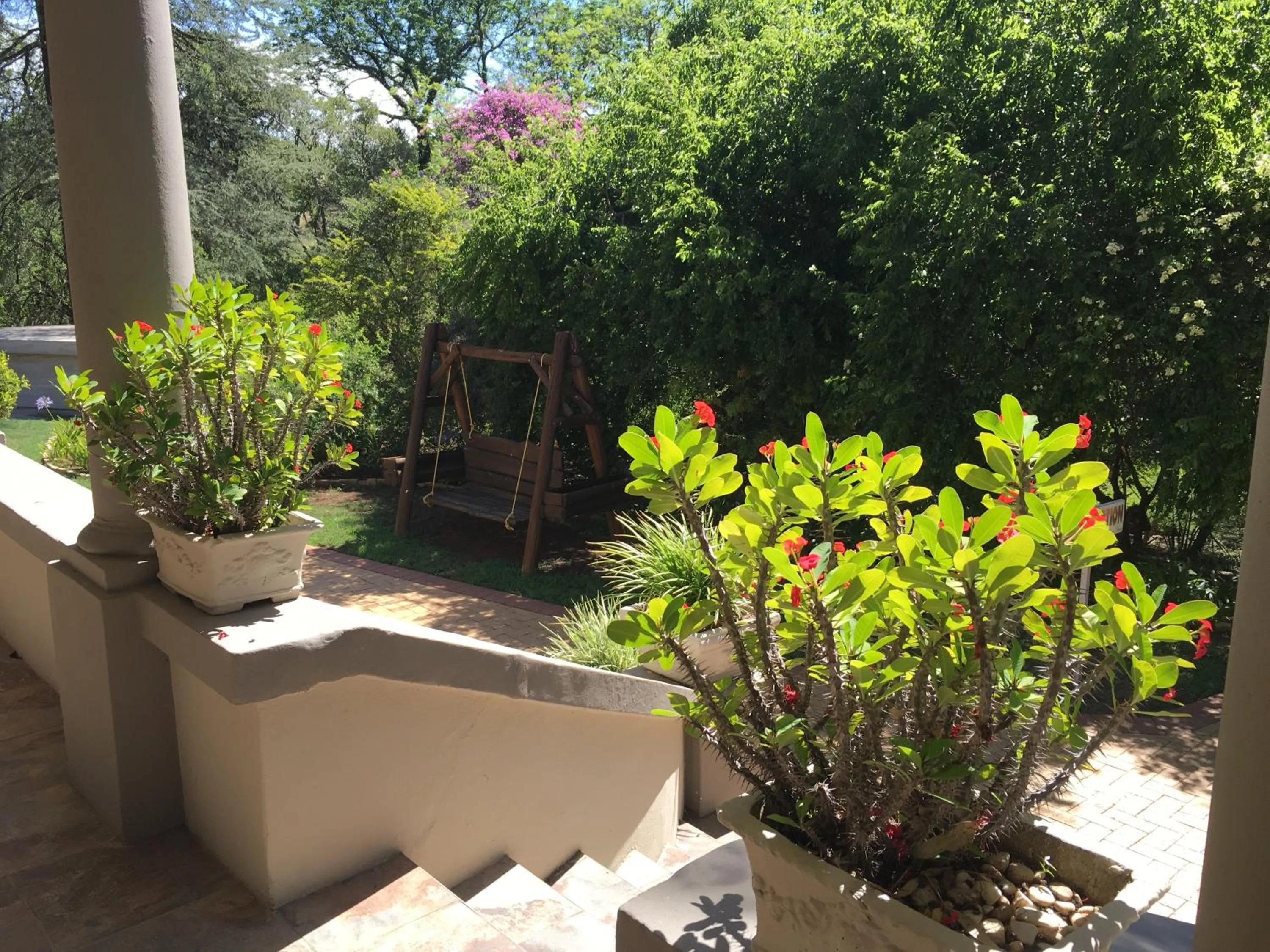 Garden in Peaches & Cream Bed & Breakfast