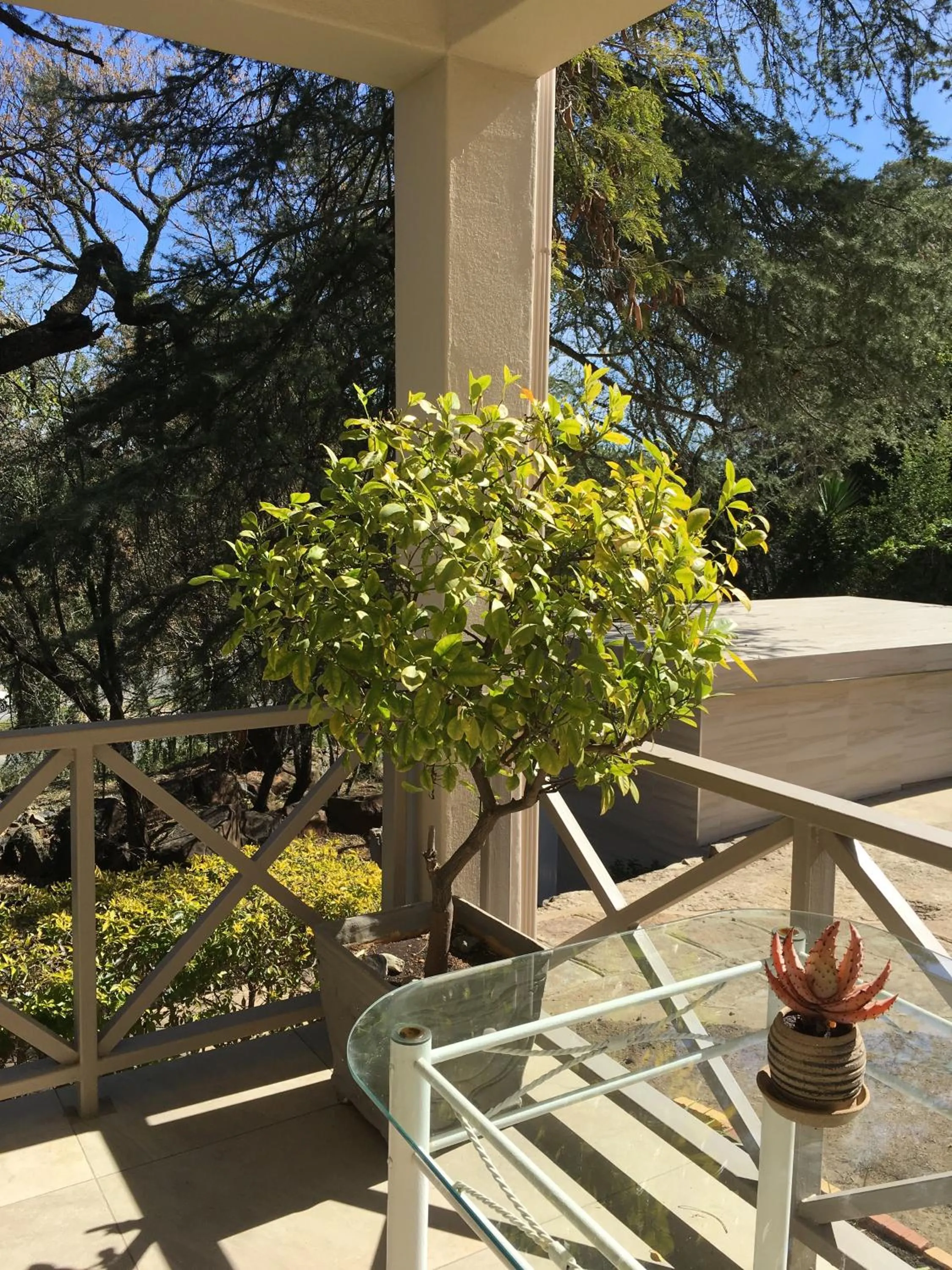 Balcony/Terrace in Peaches & Cream Bed & Breakfast