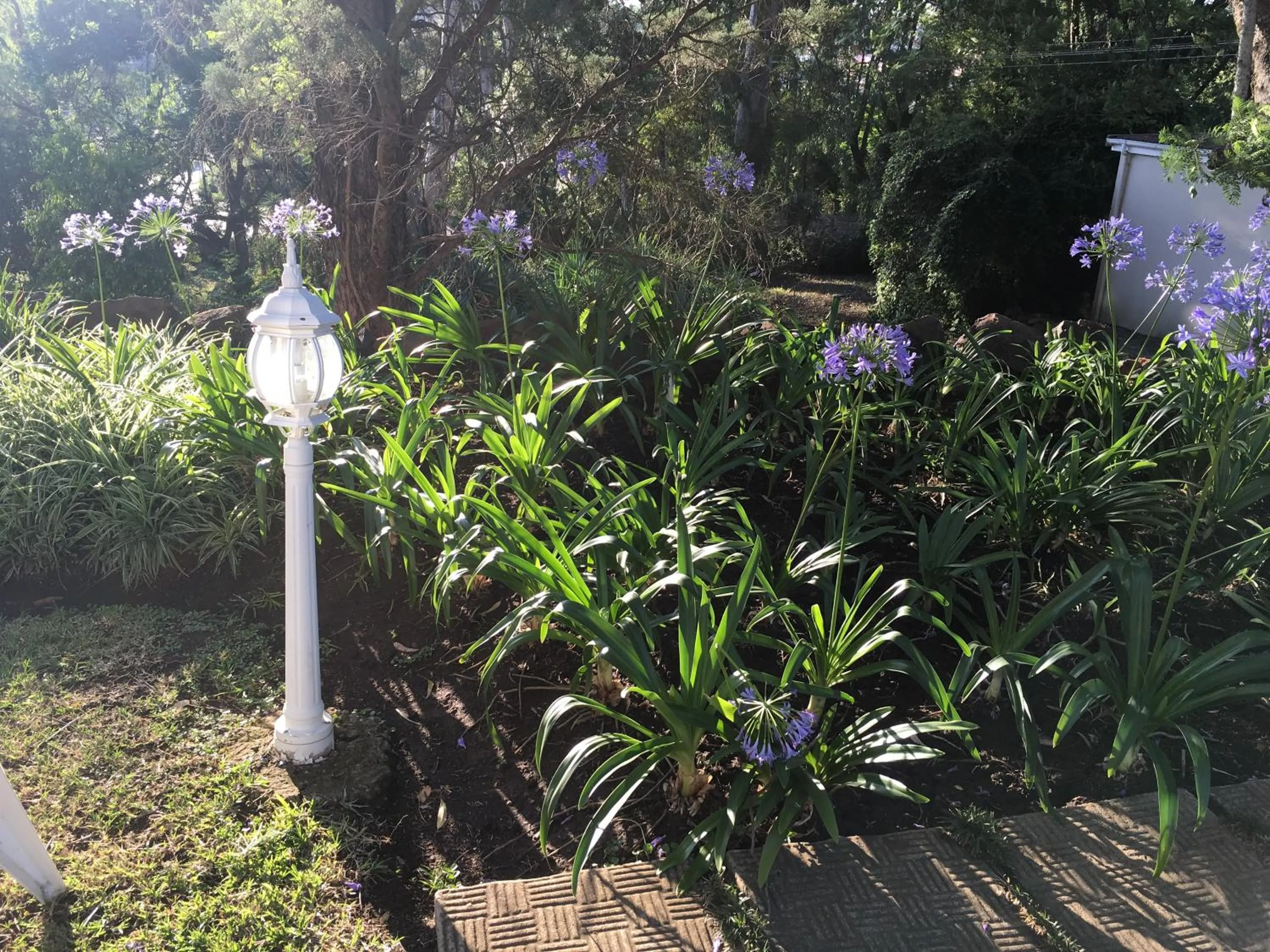 Garden view in Peaches & Cream Bed & Breakfast