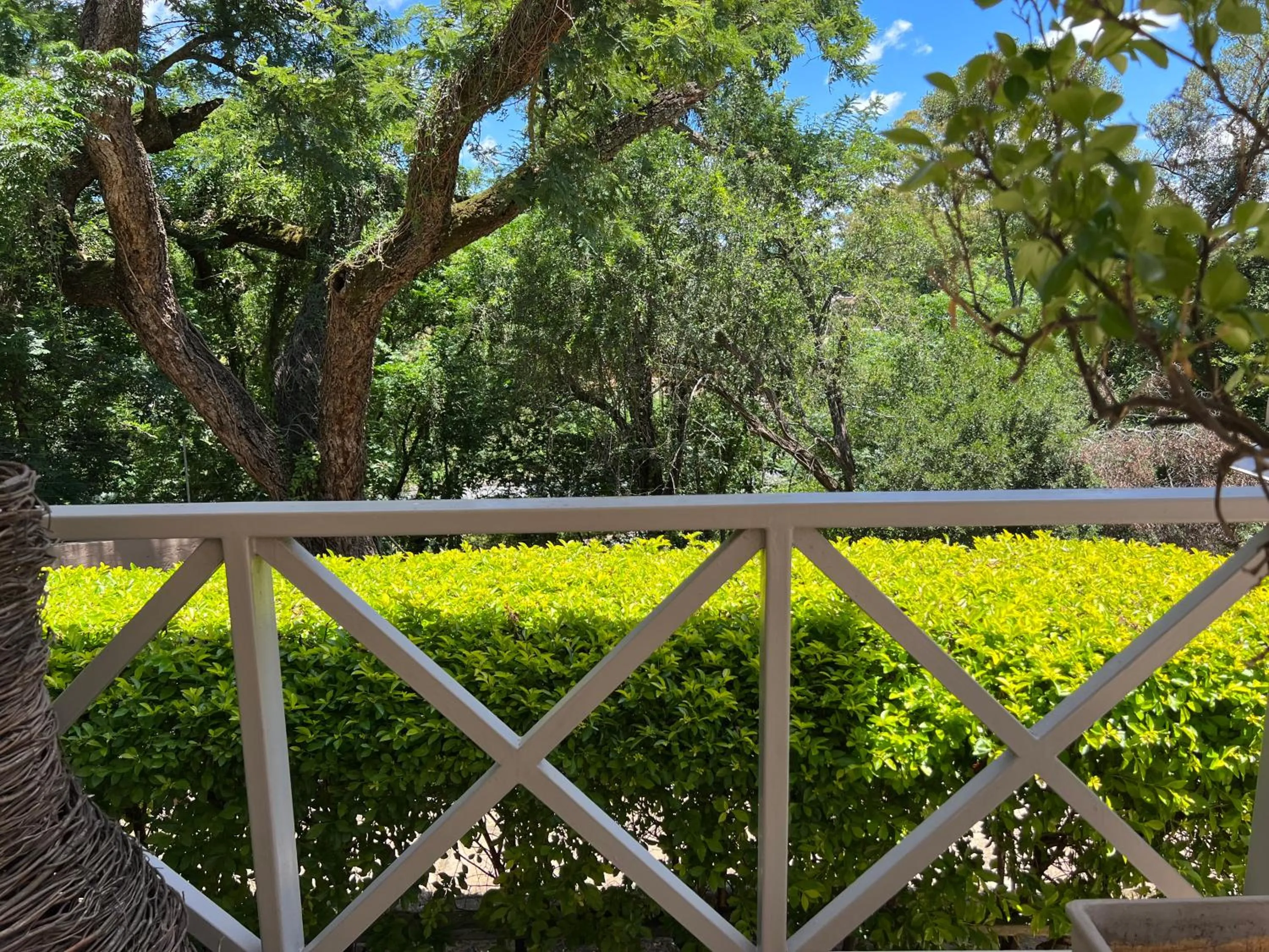 Garden in Peaches & Cream Bed & Breakfast