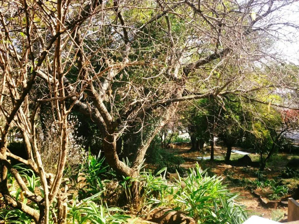 Natural landscape in Peaches & Cream Bed & Breakfast