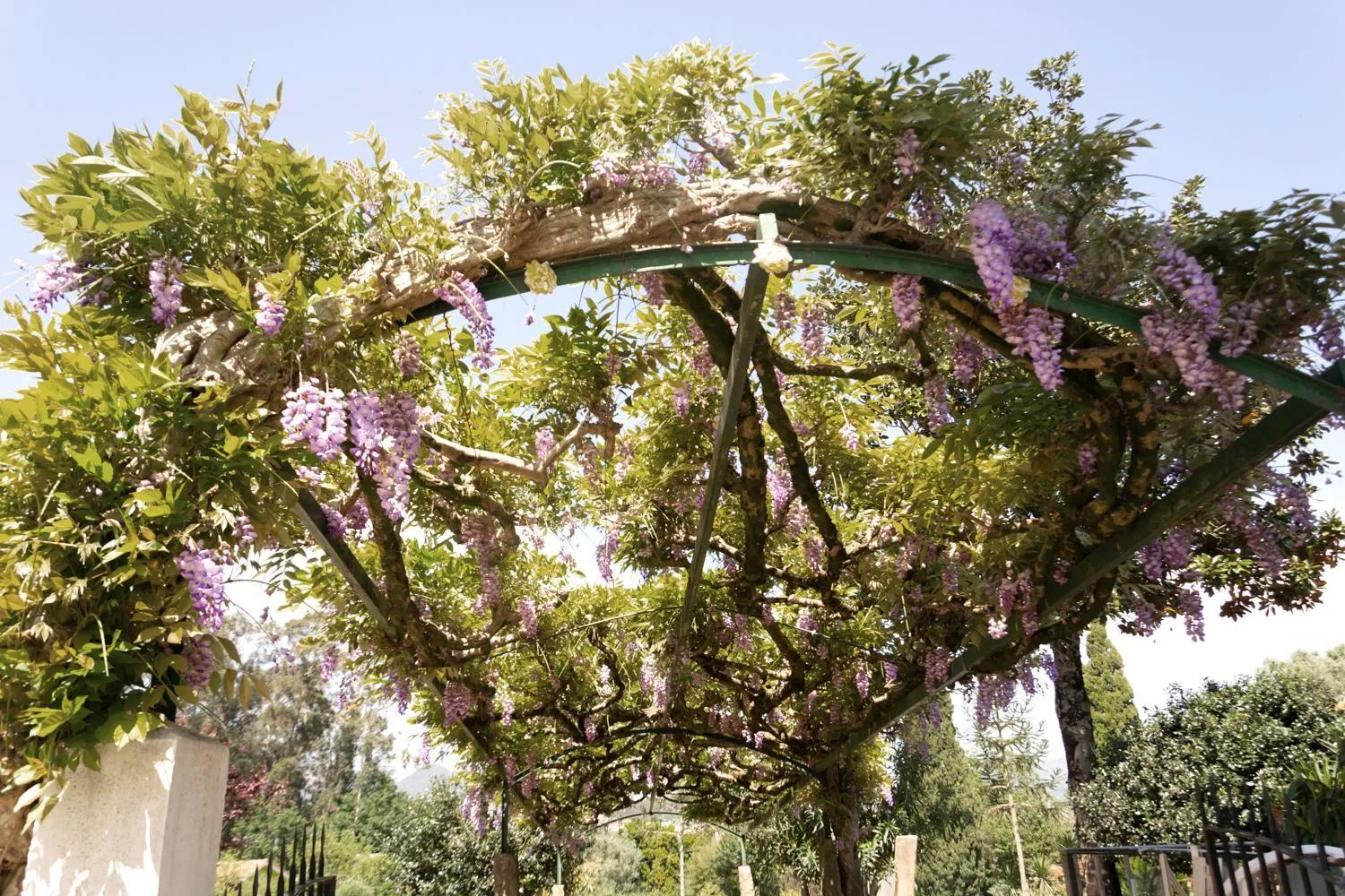 Garden view in Hotel Rural Solar das Arcadas