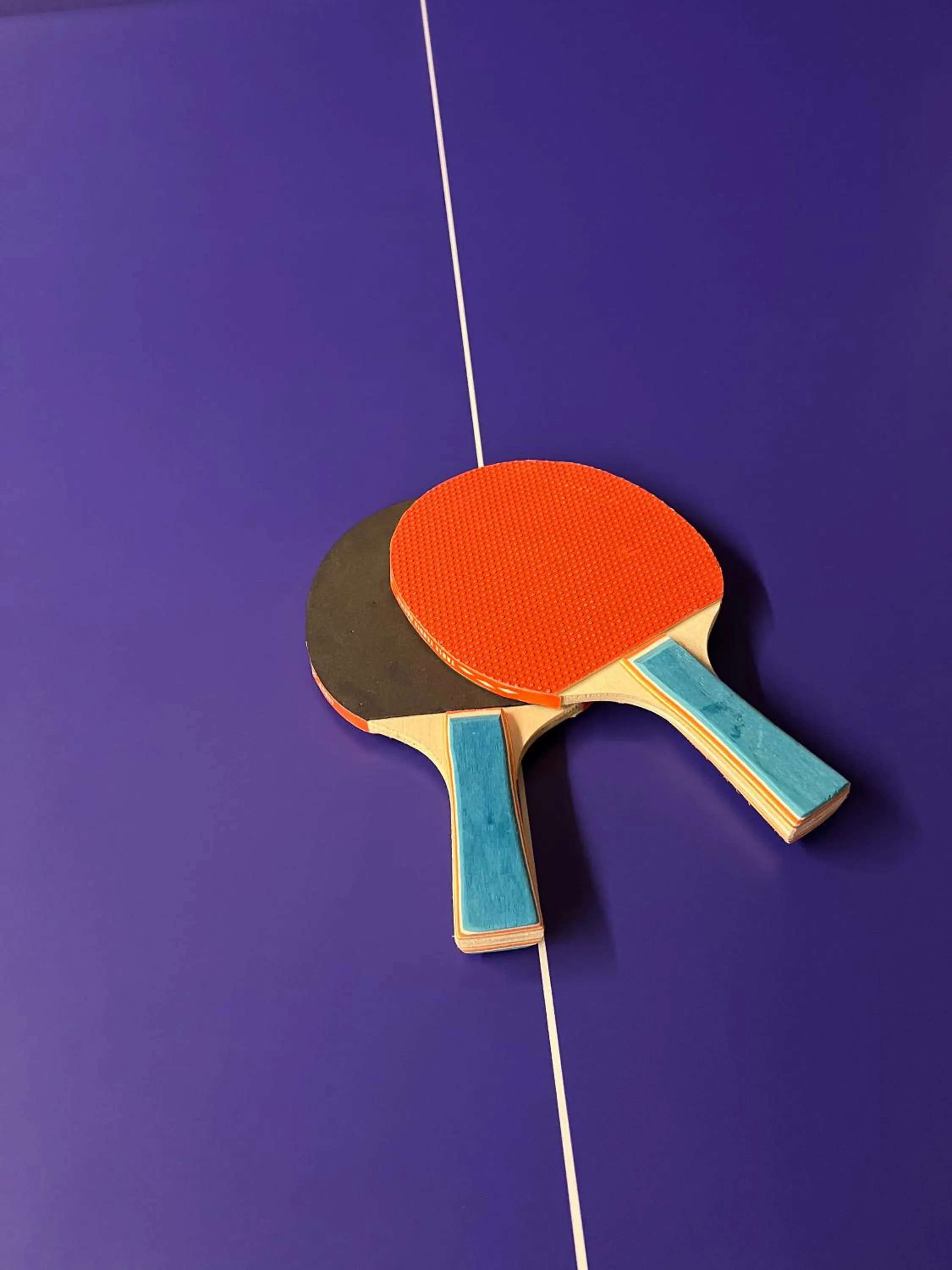 Game Room in Hotel Rural Solar das Arcadas