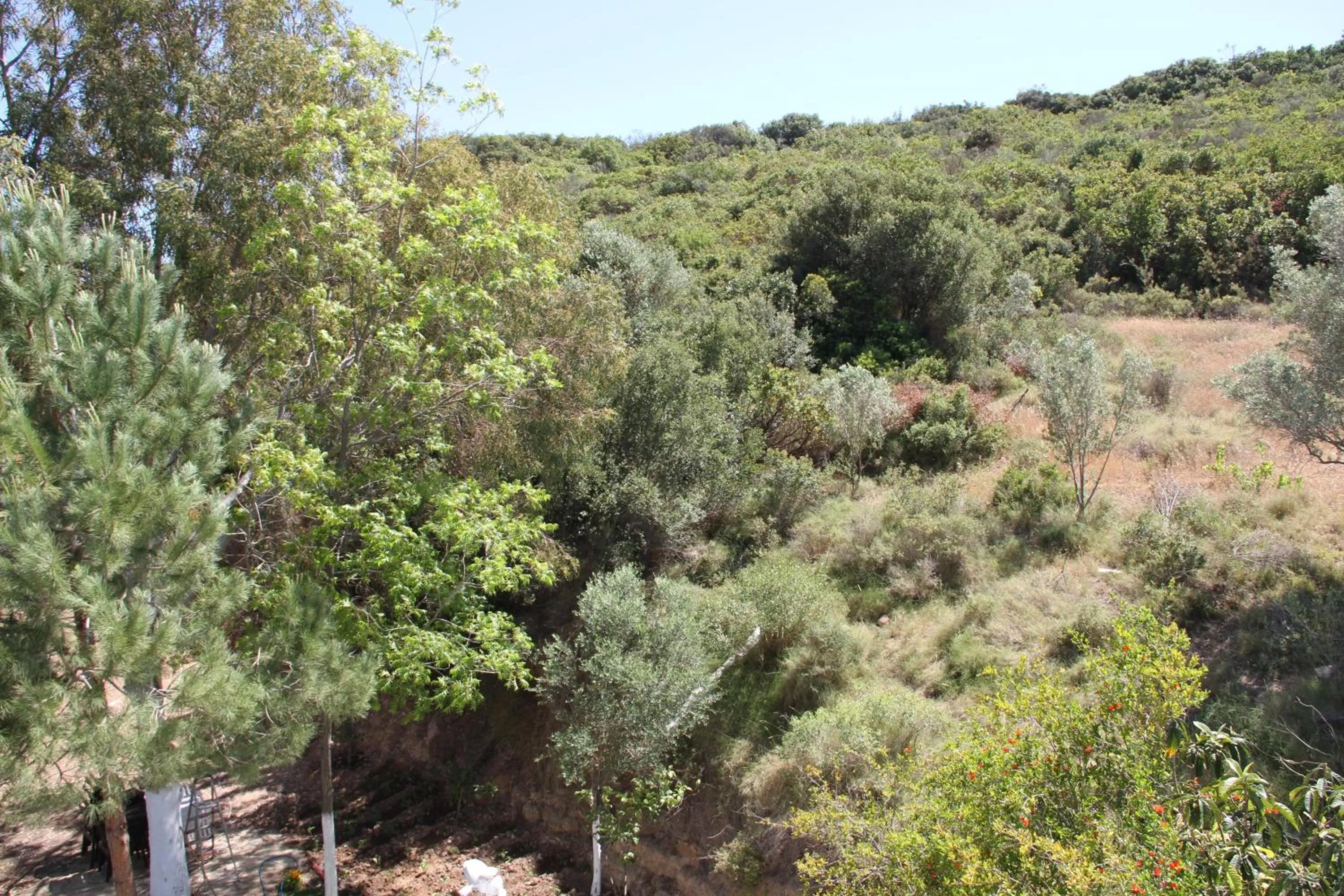 Mountain view in AELBİSTAN OTEL