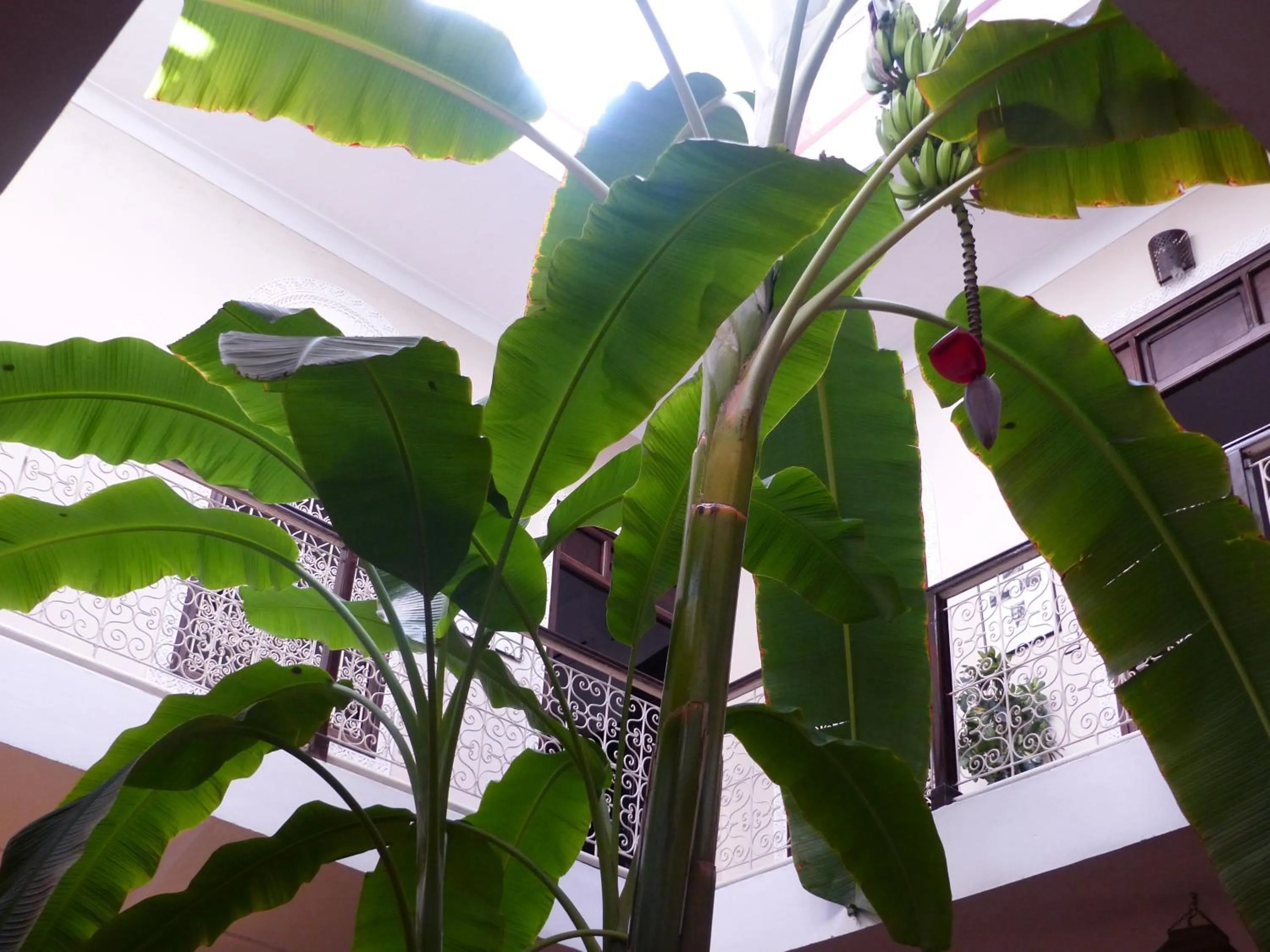 Natural landscape in Riad Marhbabikoum