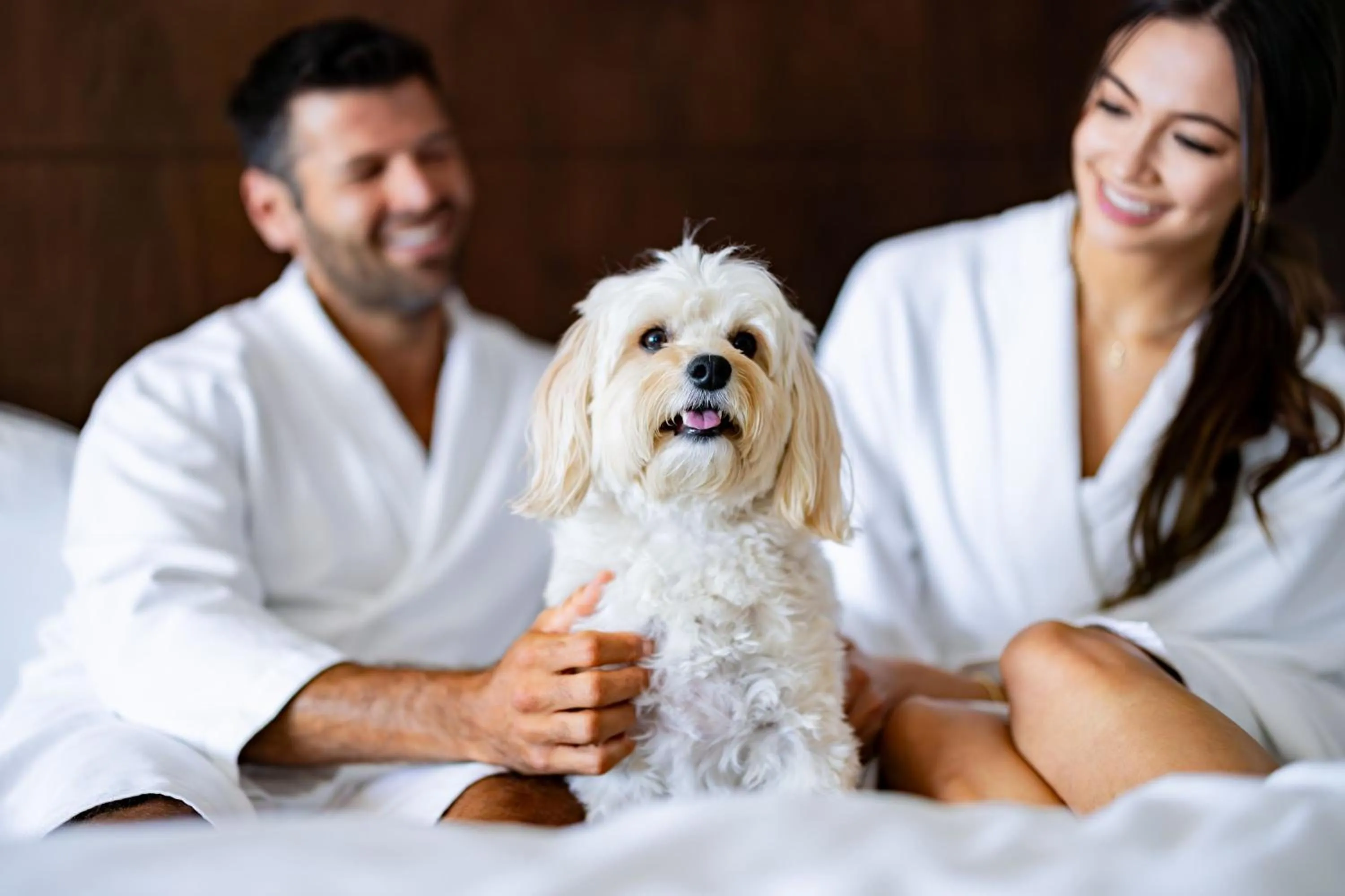 Other in The Westin South Coast Plaza, Costa Mesa