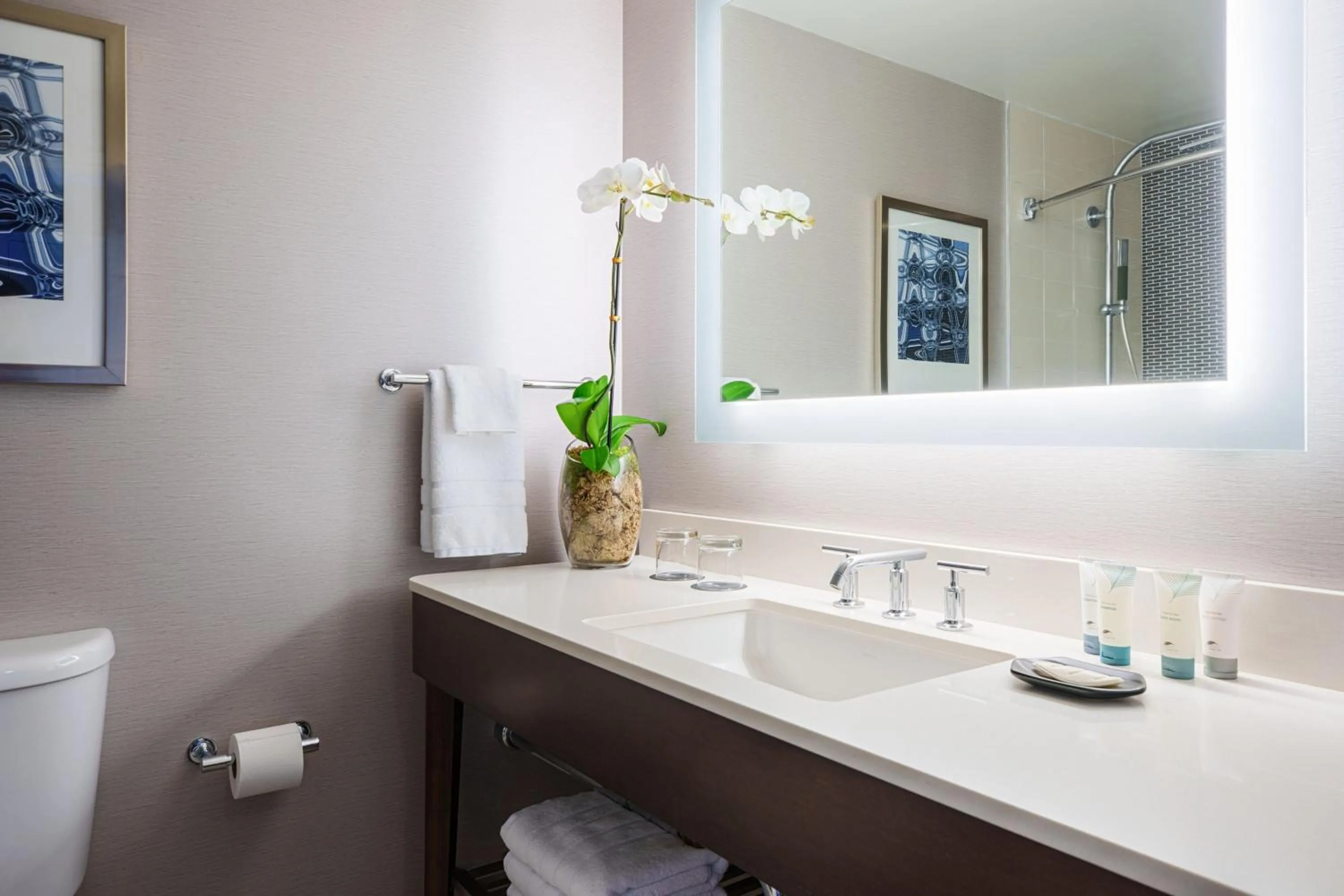 Bathroom in The Westin South Coast Plaza, Costa Mesa