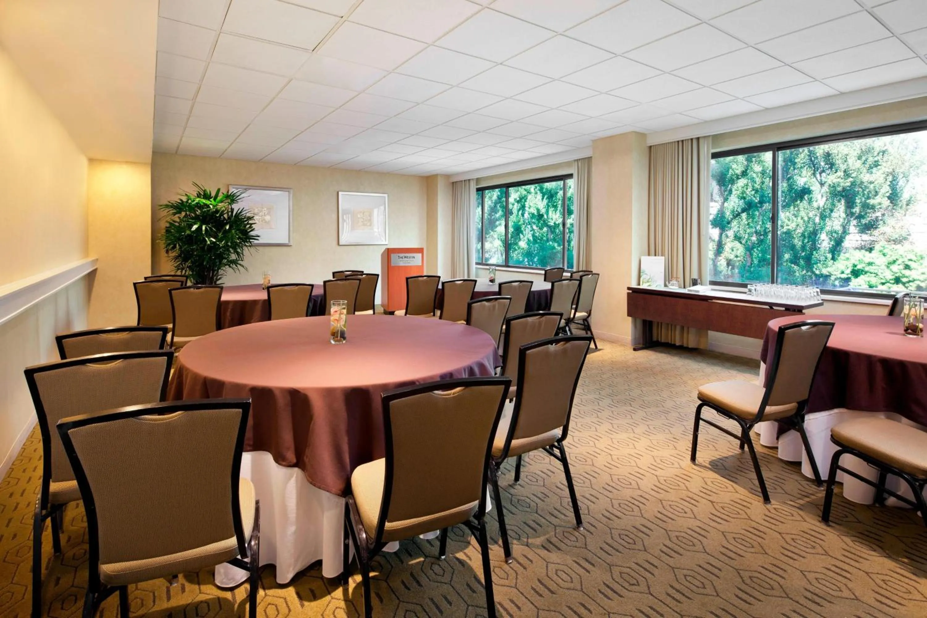 Meeting/conference room in The Westin South Coast Plaza, Costa Mesa