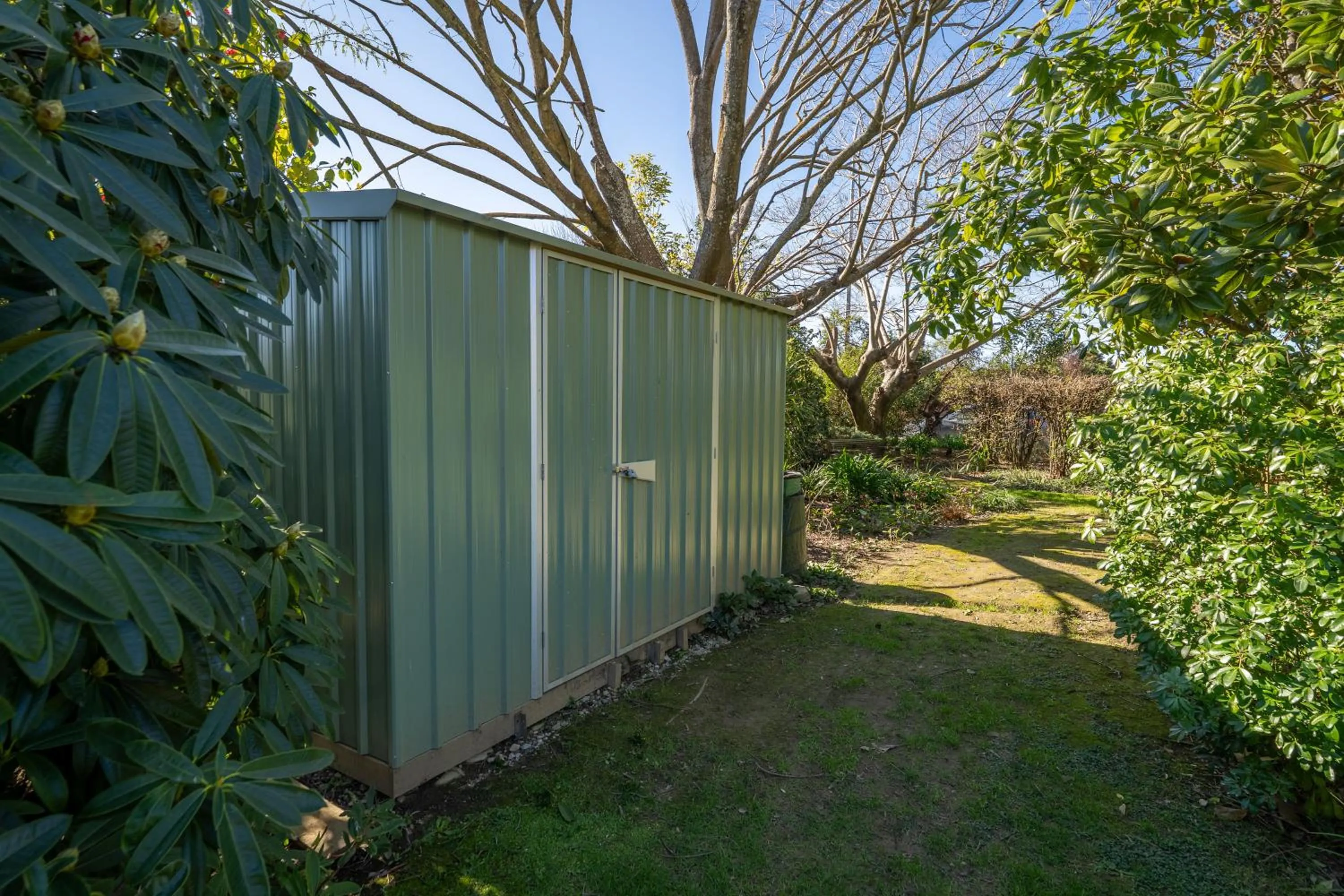 Garden in Avalon Manor Motel