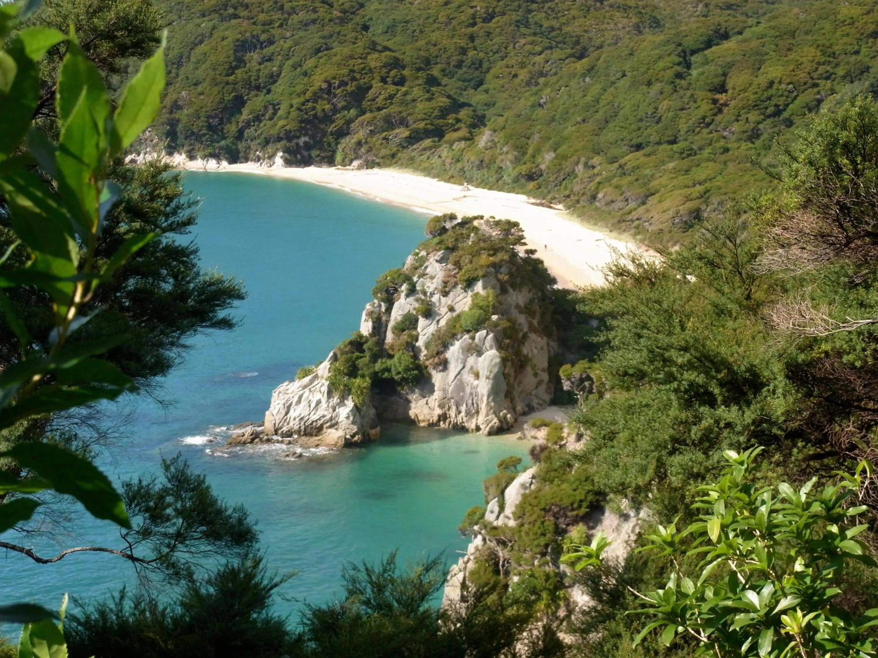 Day in Avalon Manor Motel