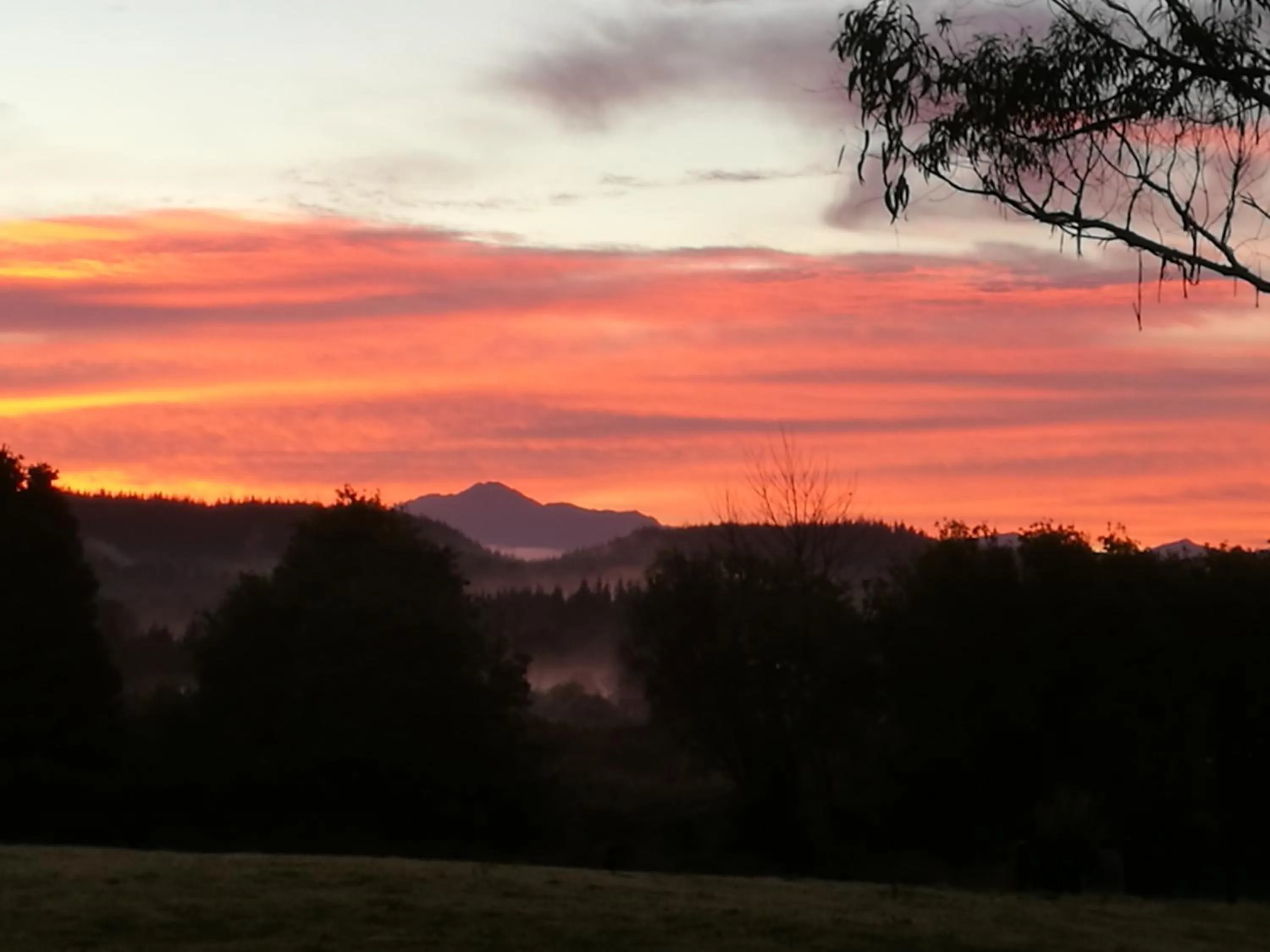 Sunset in Awatuna Homestead