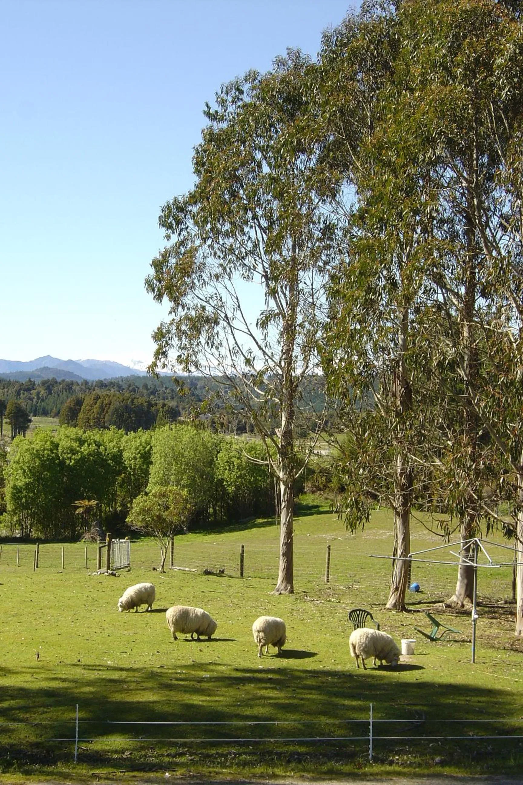 Mountain view in Awatuna Homestead