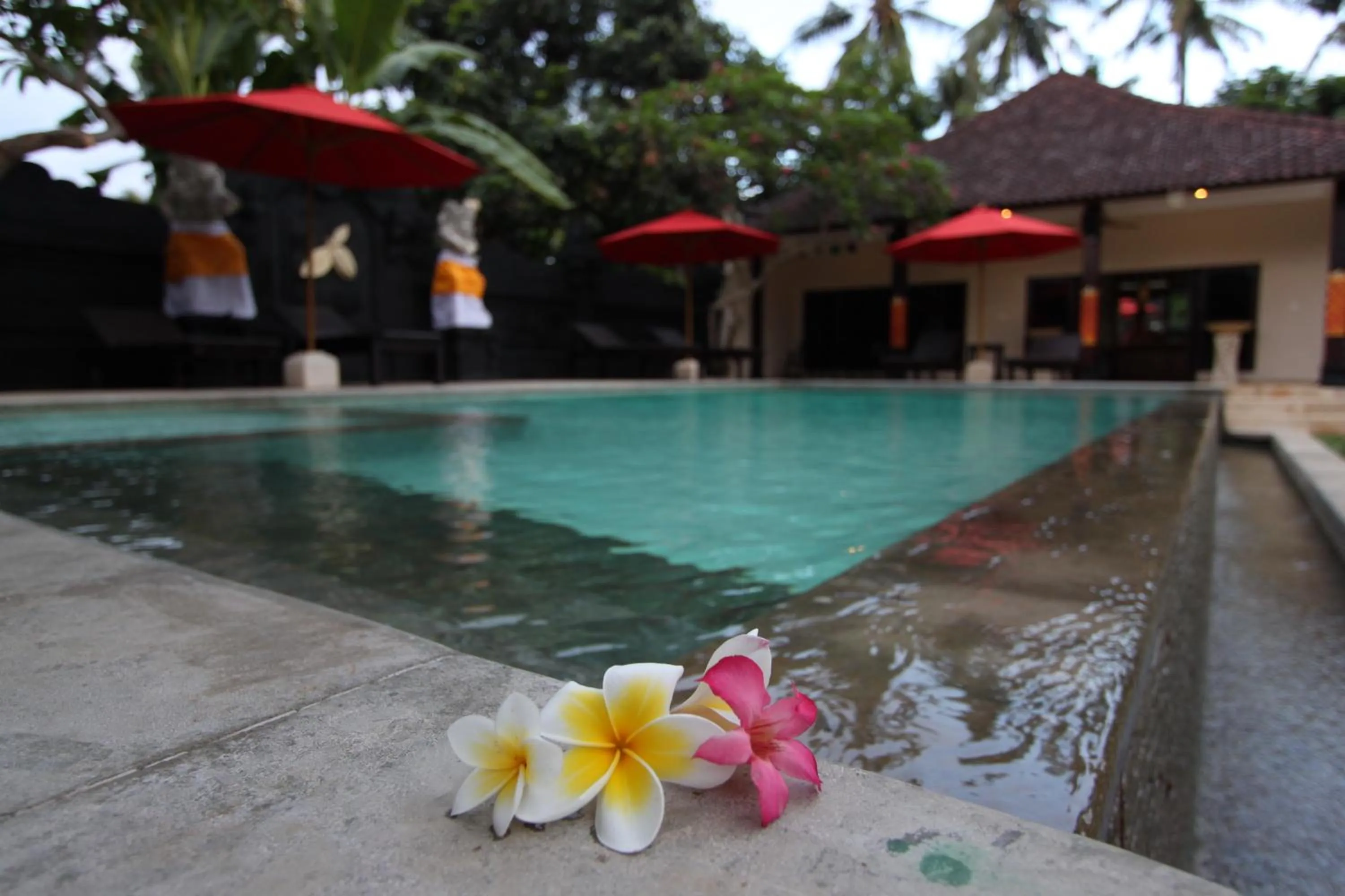 Swimming pool in Hotel Melamun