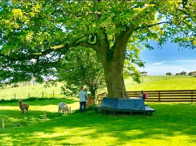 Garden in Torrs Warren Country House Hotel