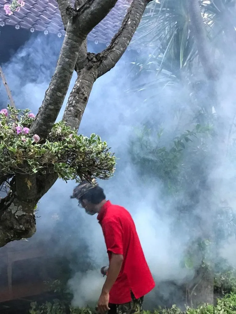 Property building in Tirta Sari Bungalow