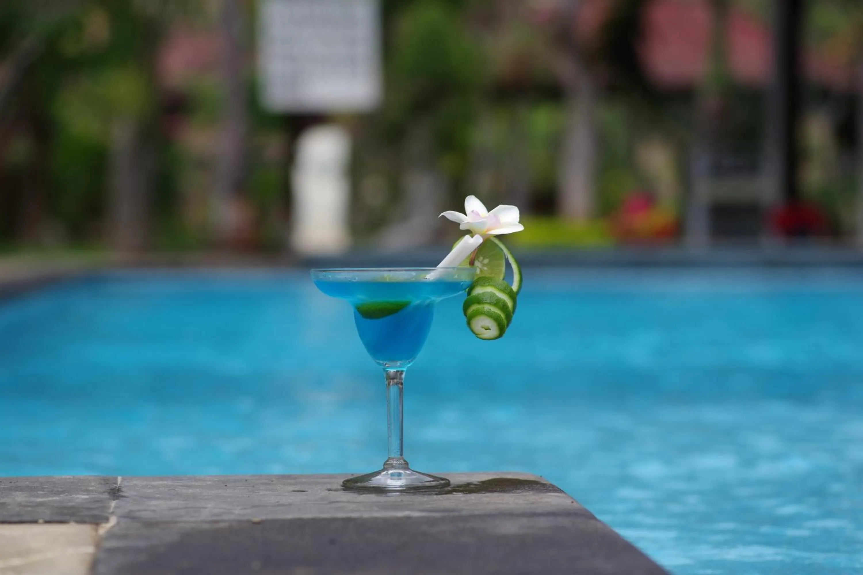 Alcoholic drinks in Tirta Sari Bungalow