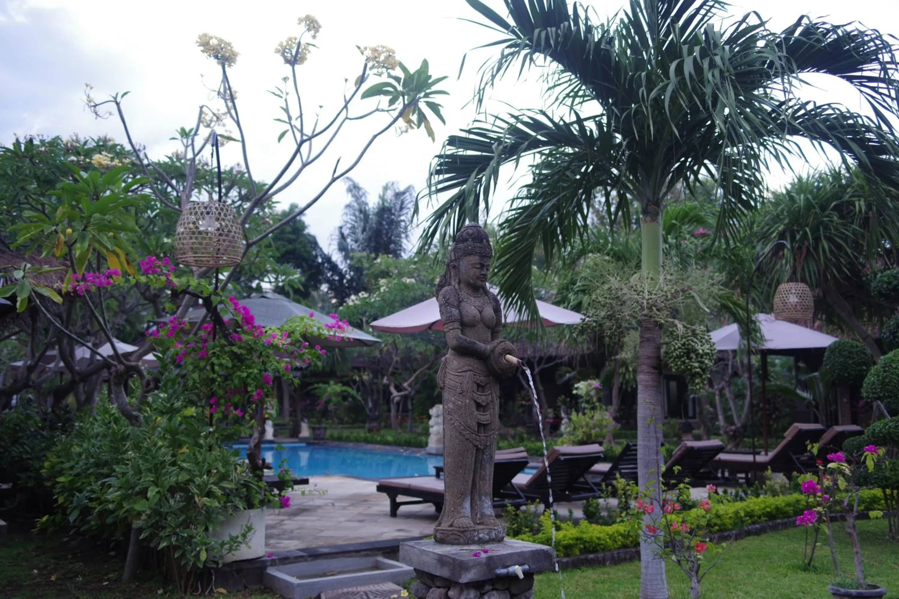 Garden in Tirta Sari Bungalow