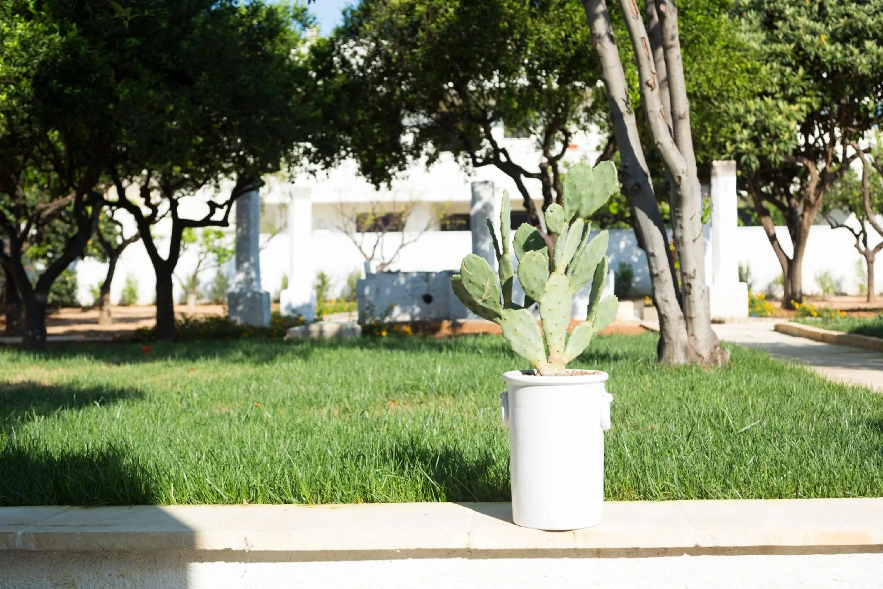Garden in Relais San Martino - Salento