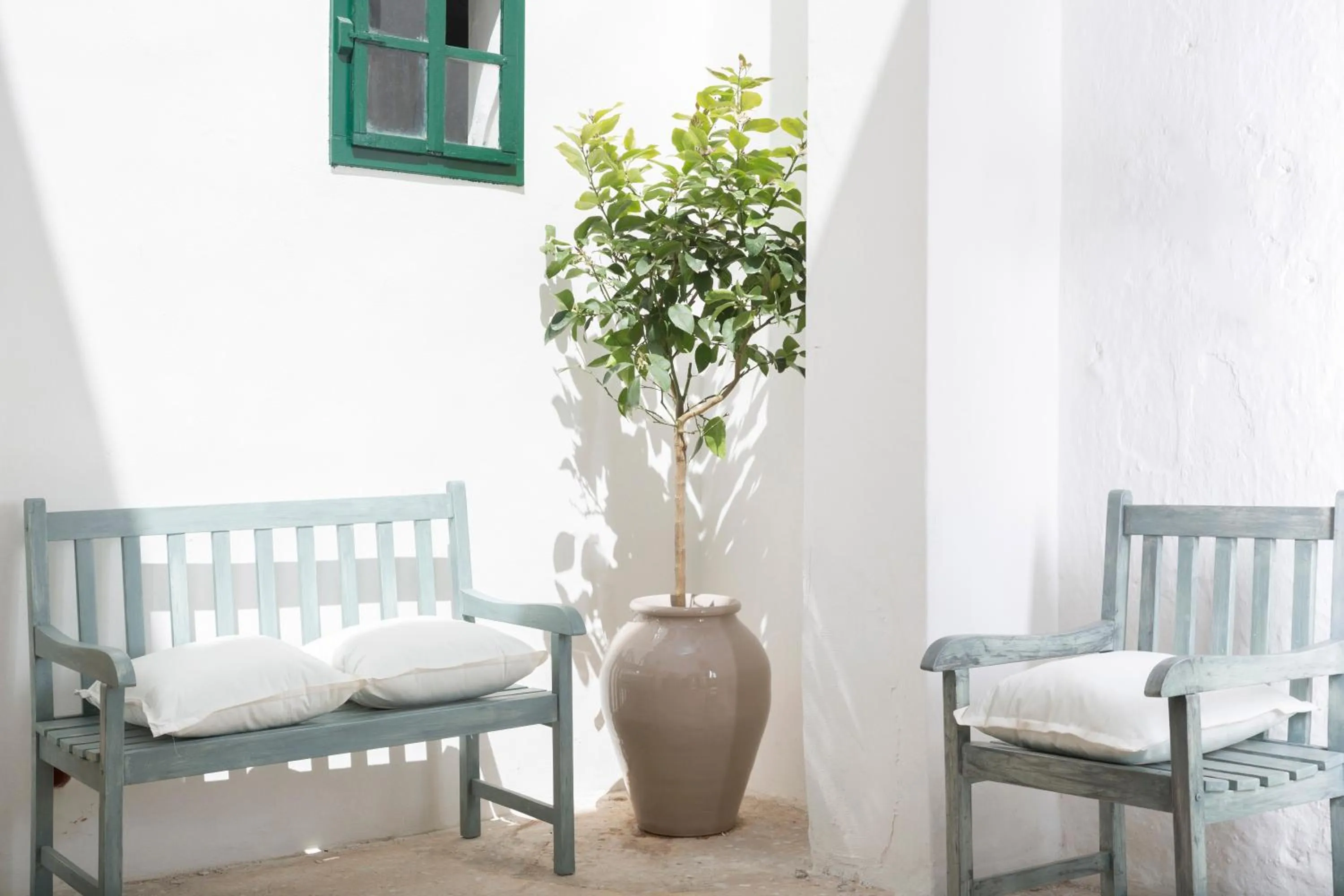 Garden in Relais San Martino - Salento