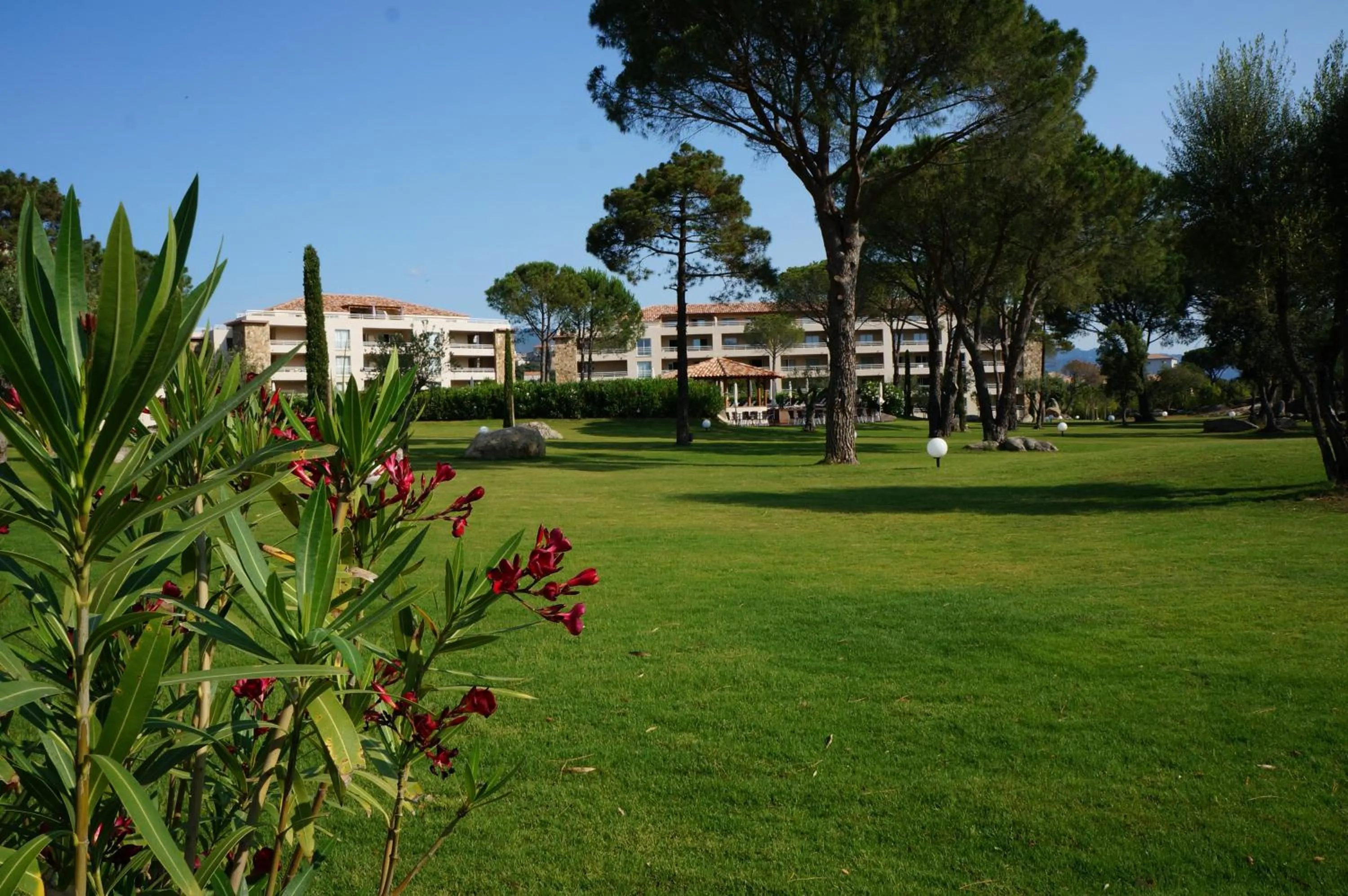 Natural landscape in Résidence Salina Bay