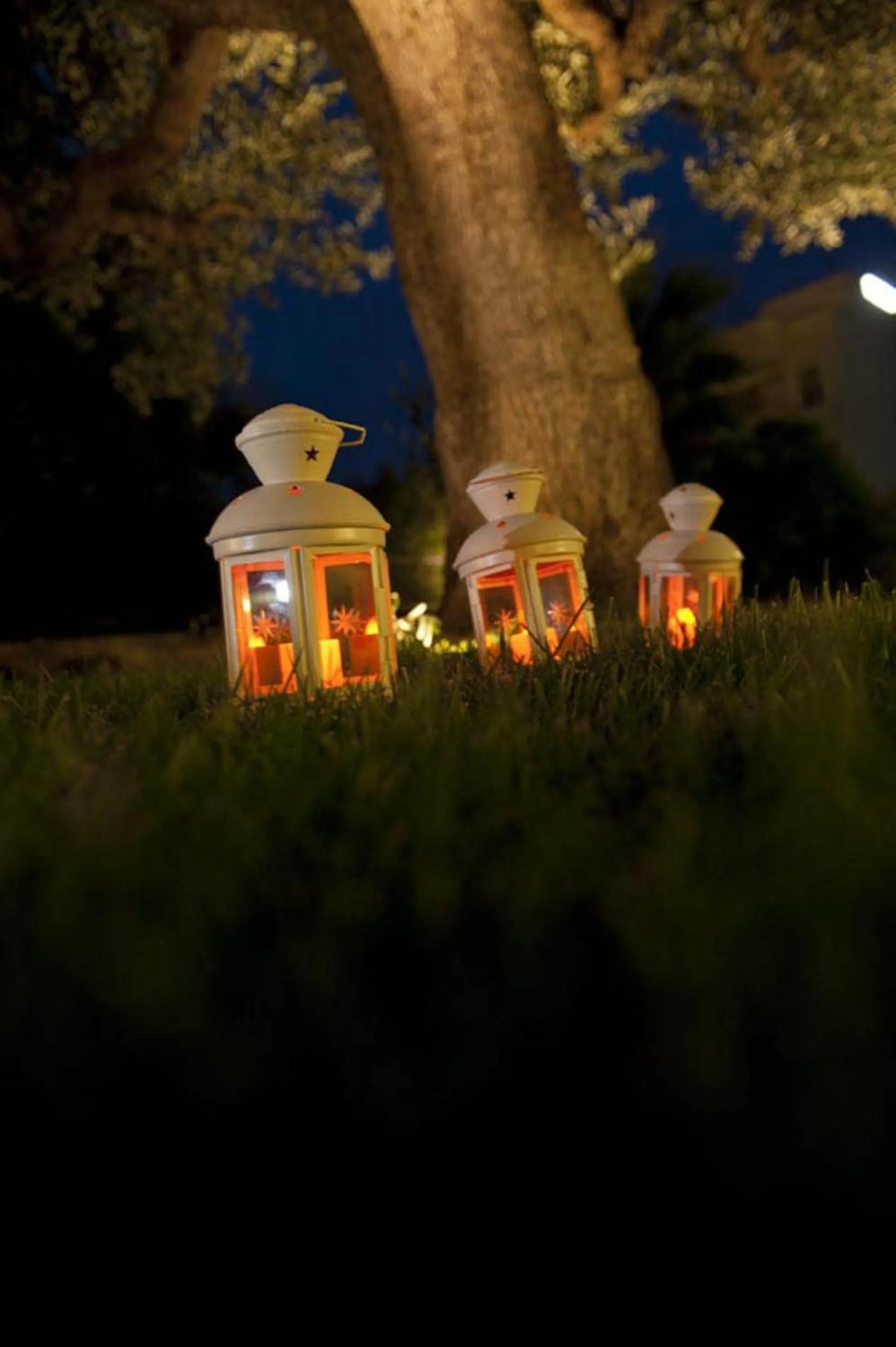 Decorative detail in Donna Lucrezia