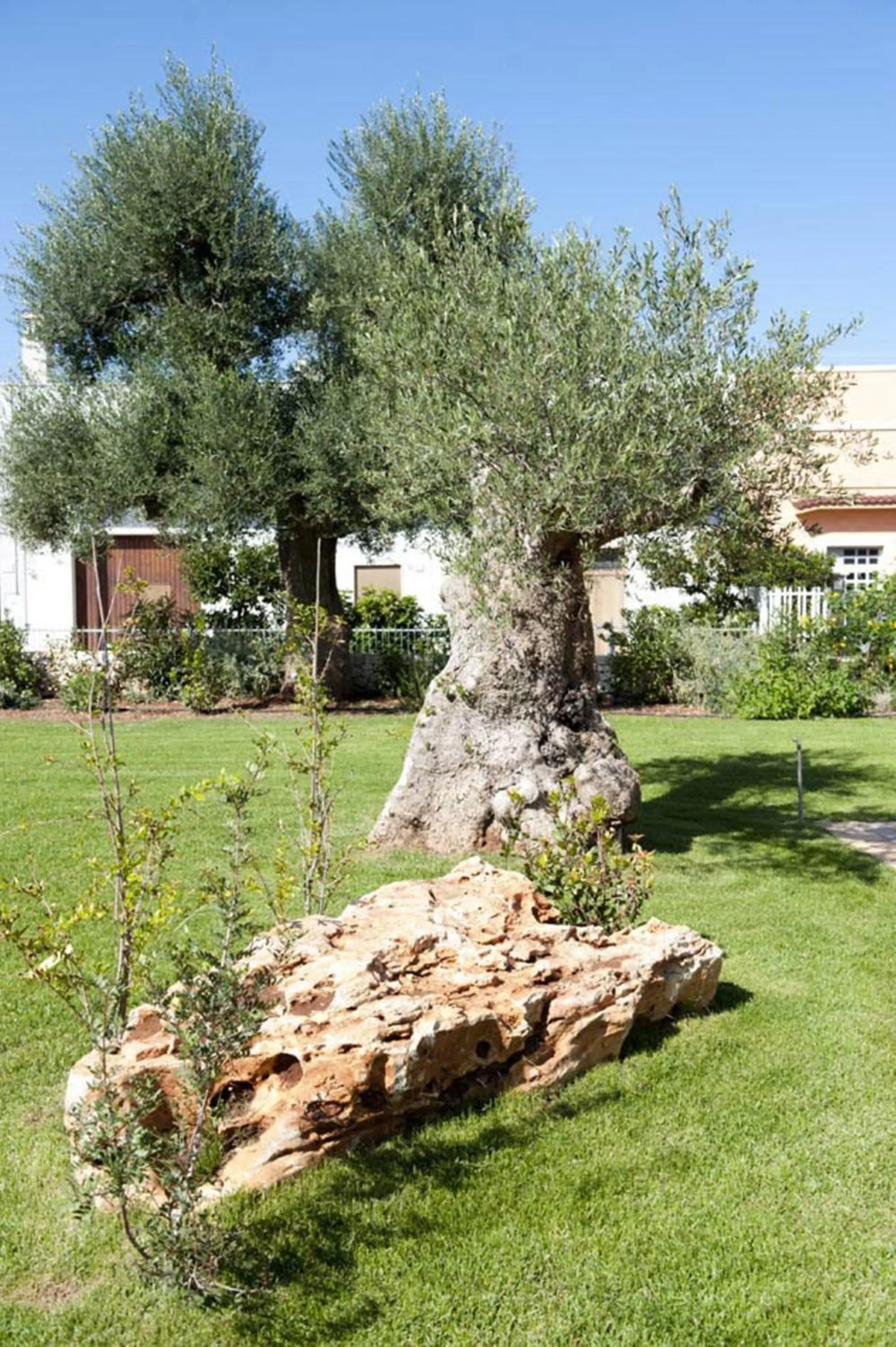 Decorative detail in Donna Lucrezia