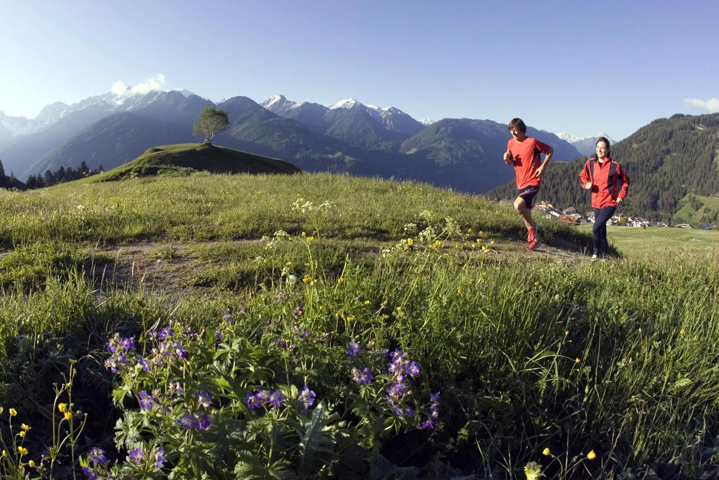 Hiking in Aparthotel Fernblick
