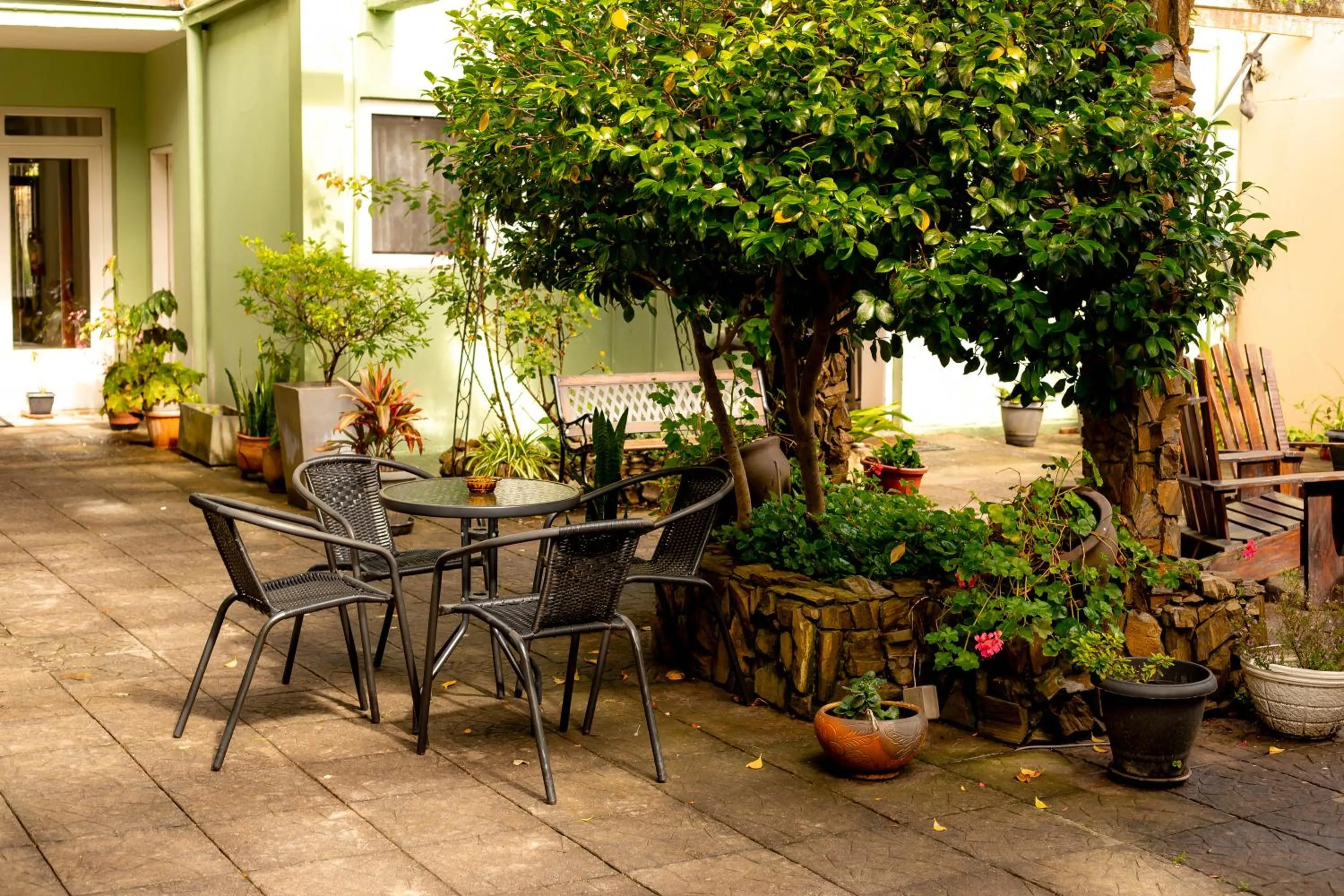 Garden in Hotel Internacional