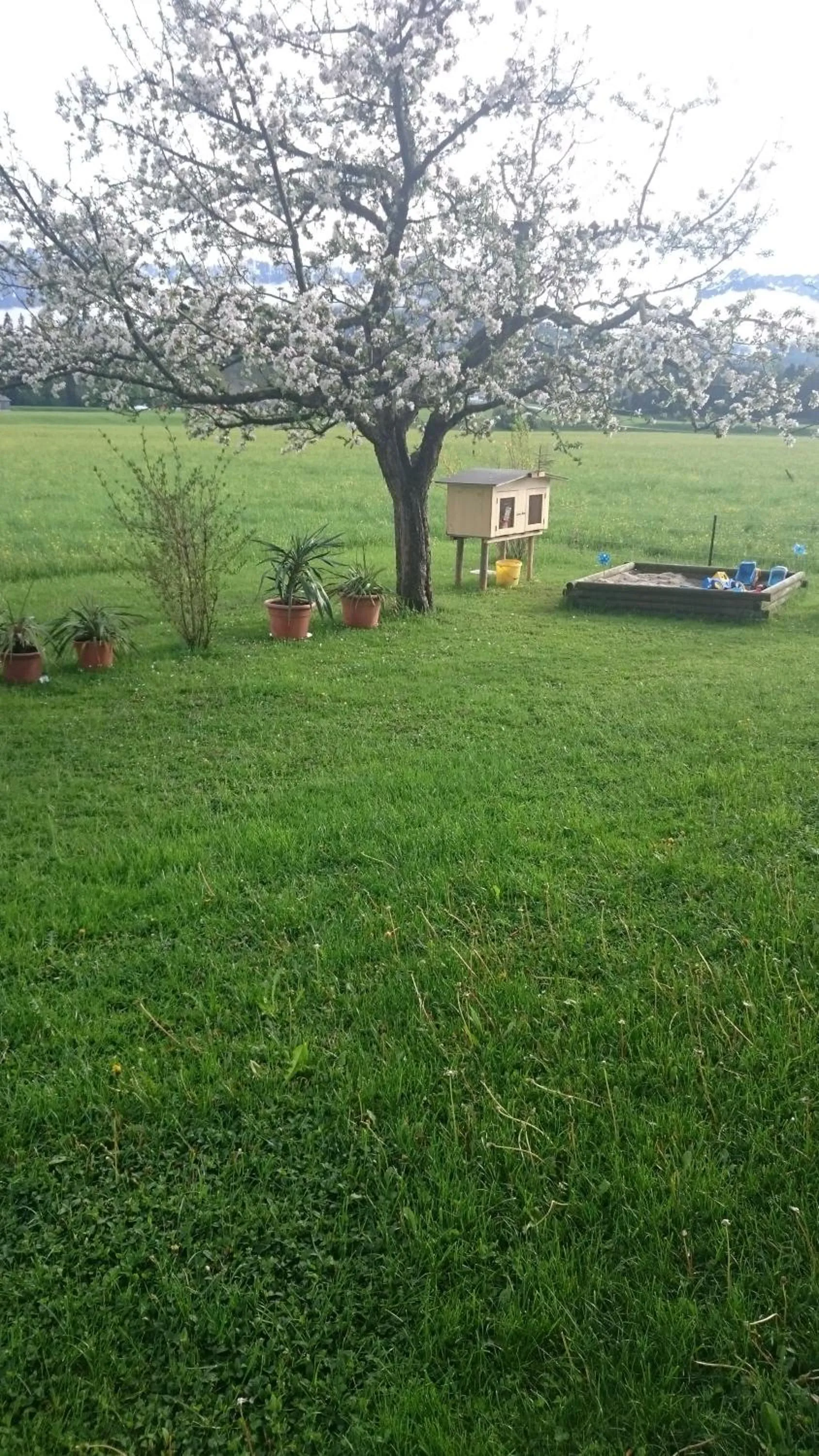 Area and facilities in Landhaus Greiderer