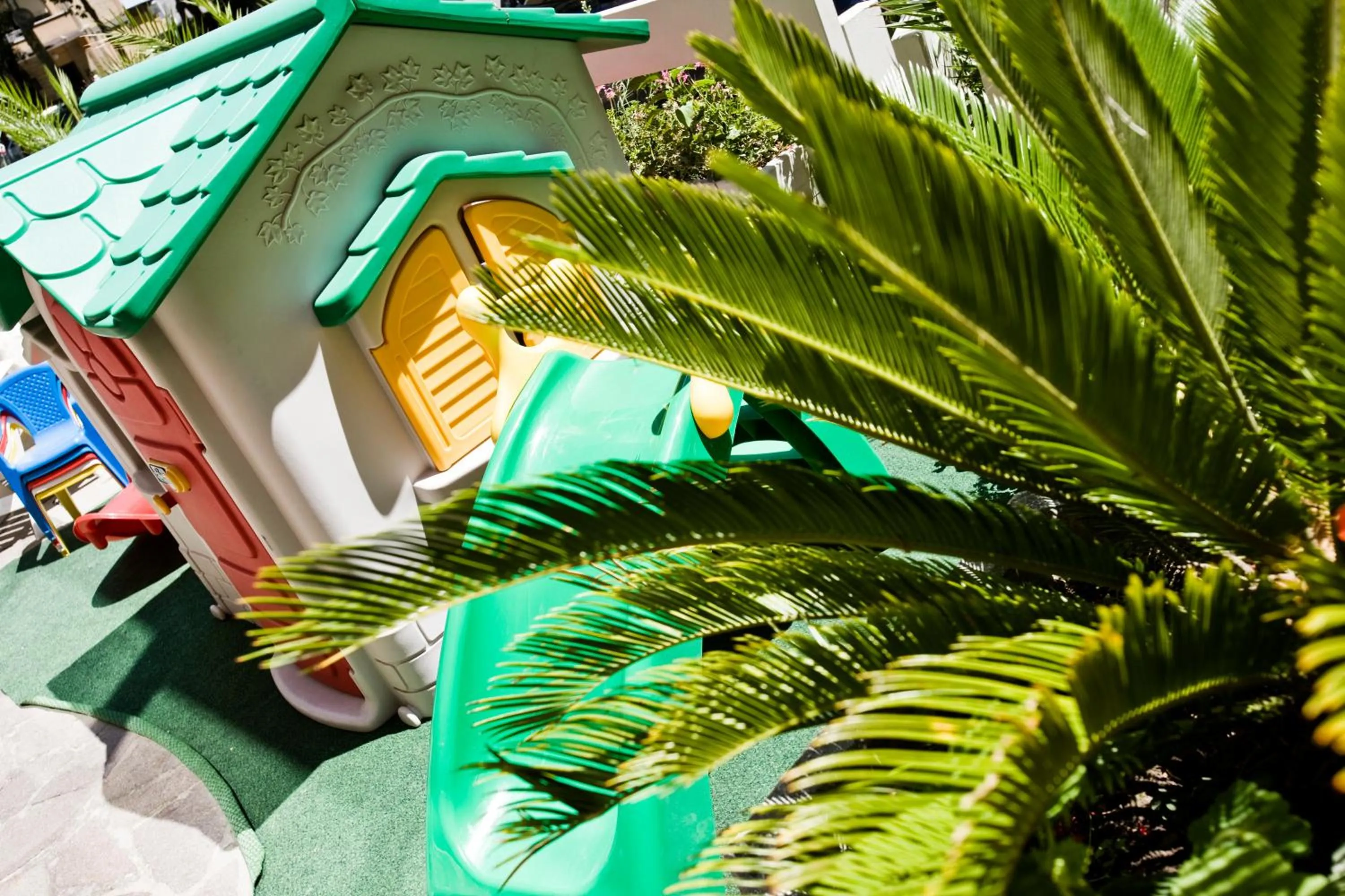 Garden in Hotel Apollo