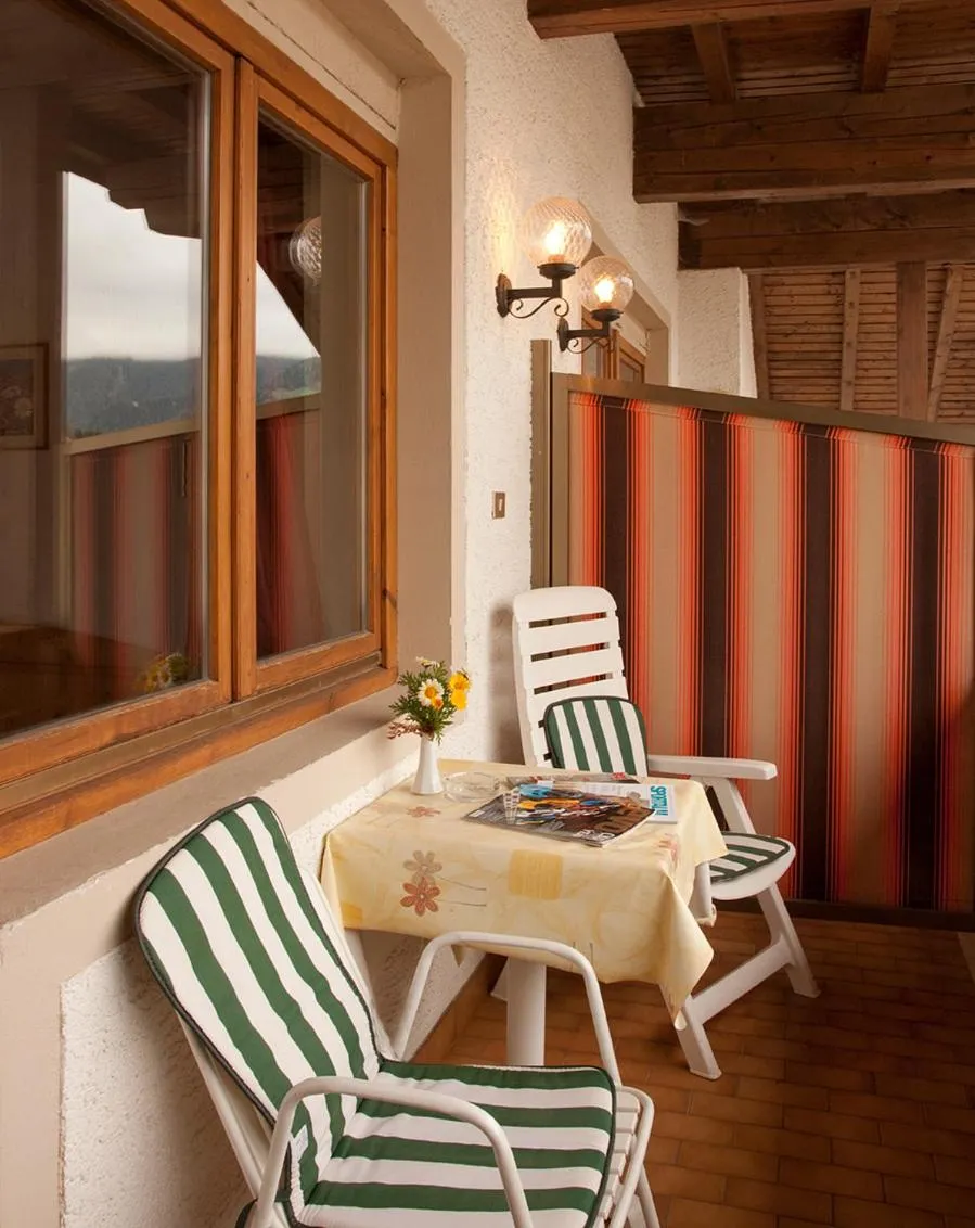 Balcony/Terrace in Hotel Rainegg