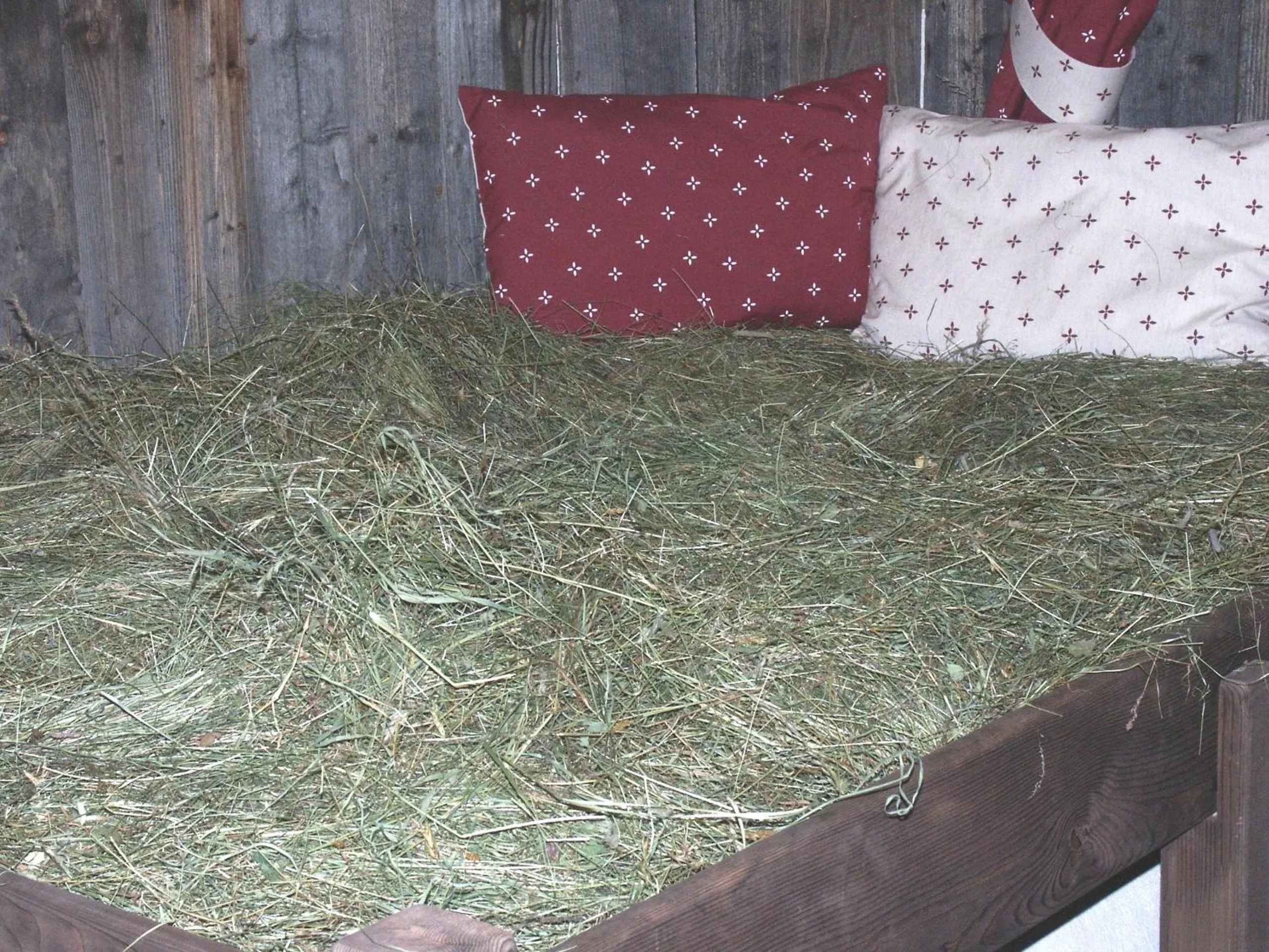 Spa and wellness centre/facilities in Hotel Rainegg