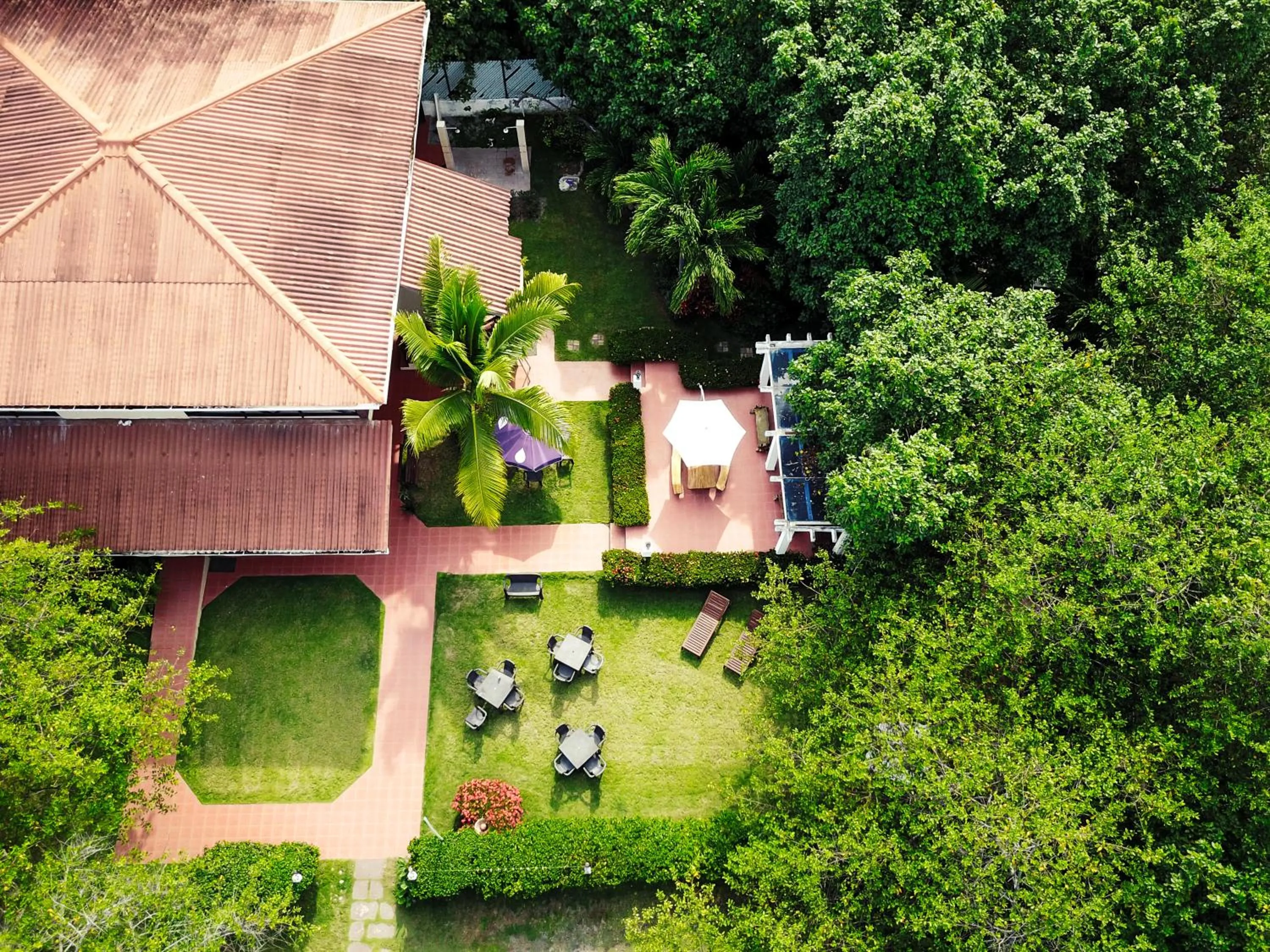 Property building in Manglar Lodge