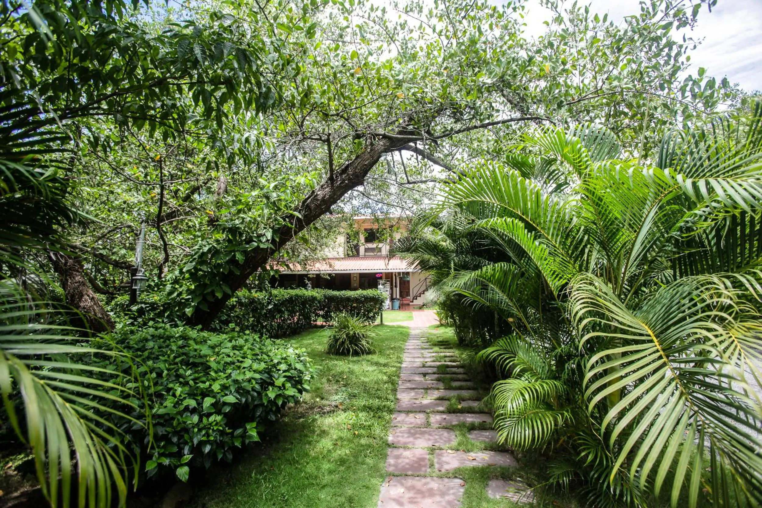 Facade/entrance in Manglar Lodge