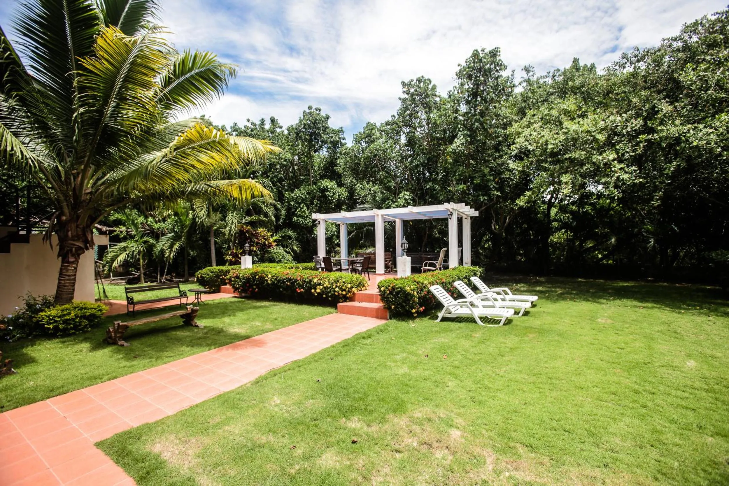 Garden view in Manglar Lodge