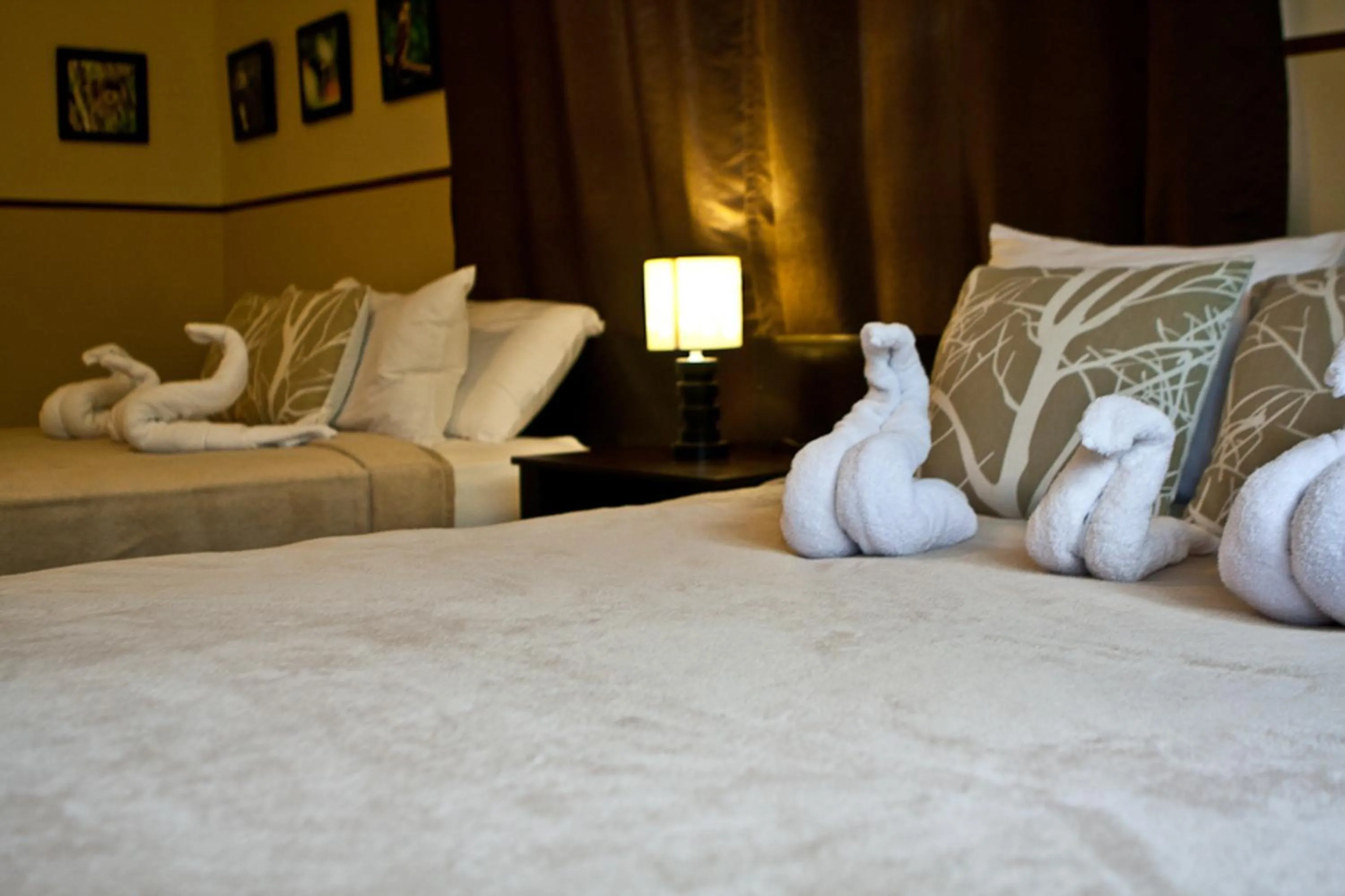 Photo of the whole room, Bed in Manglar Lodge