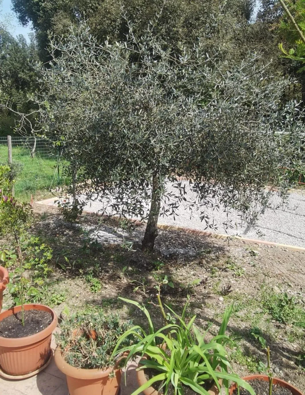 Property building in Hotel Edelweiss