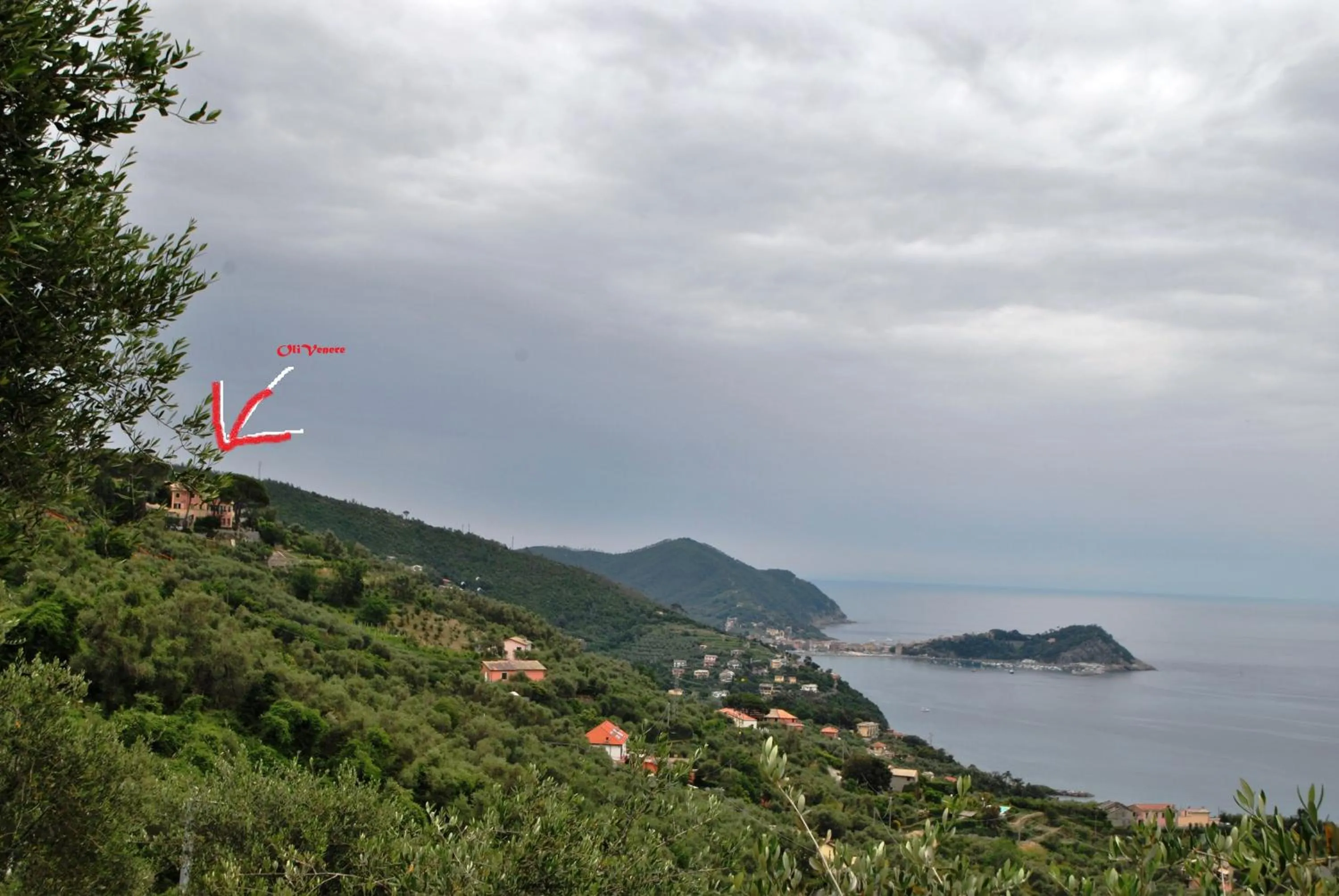 Landmark view in Olivenere agriturismo
