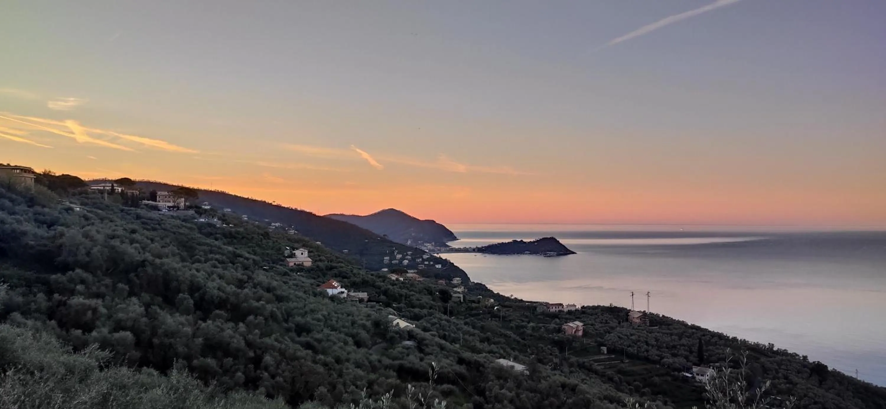 Sea view in Olivenere agriturismo