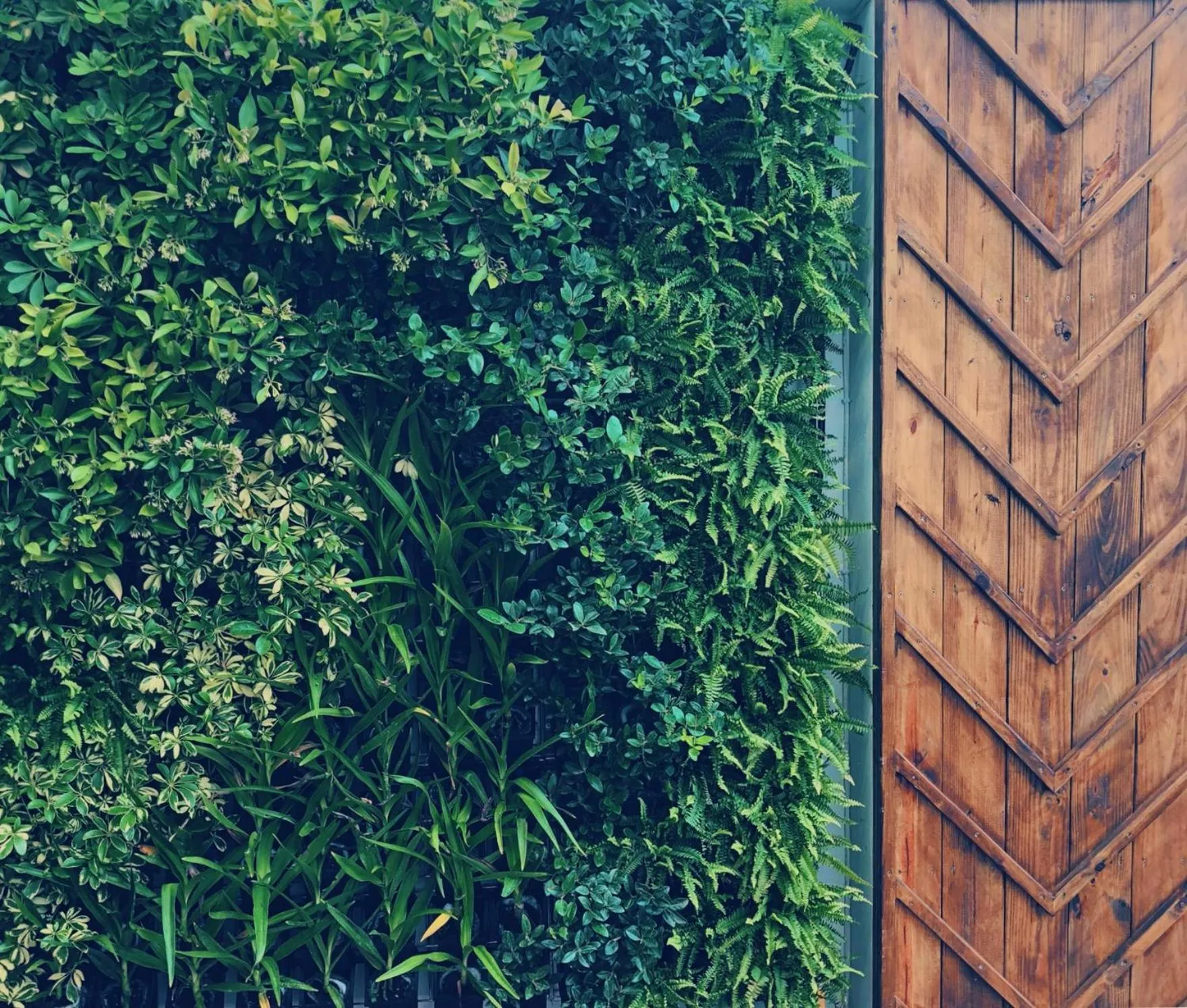 Balcony/Terrace in Hotel Everyday Life